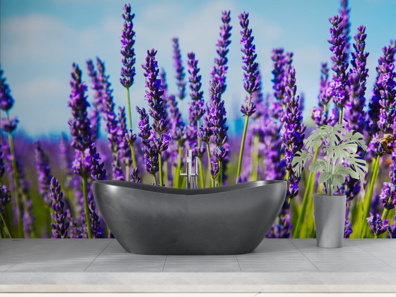 Fototapeta fialová levanduľa proti modrej oblohe