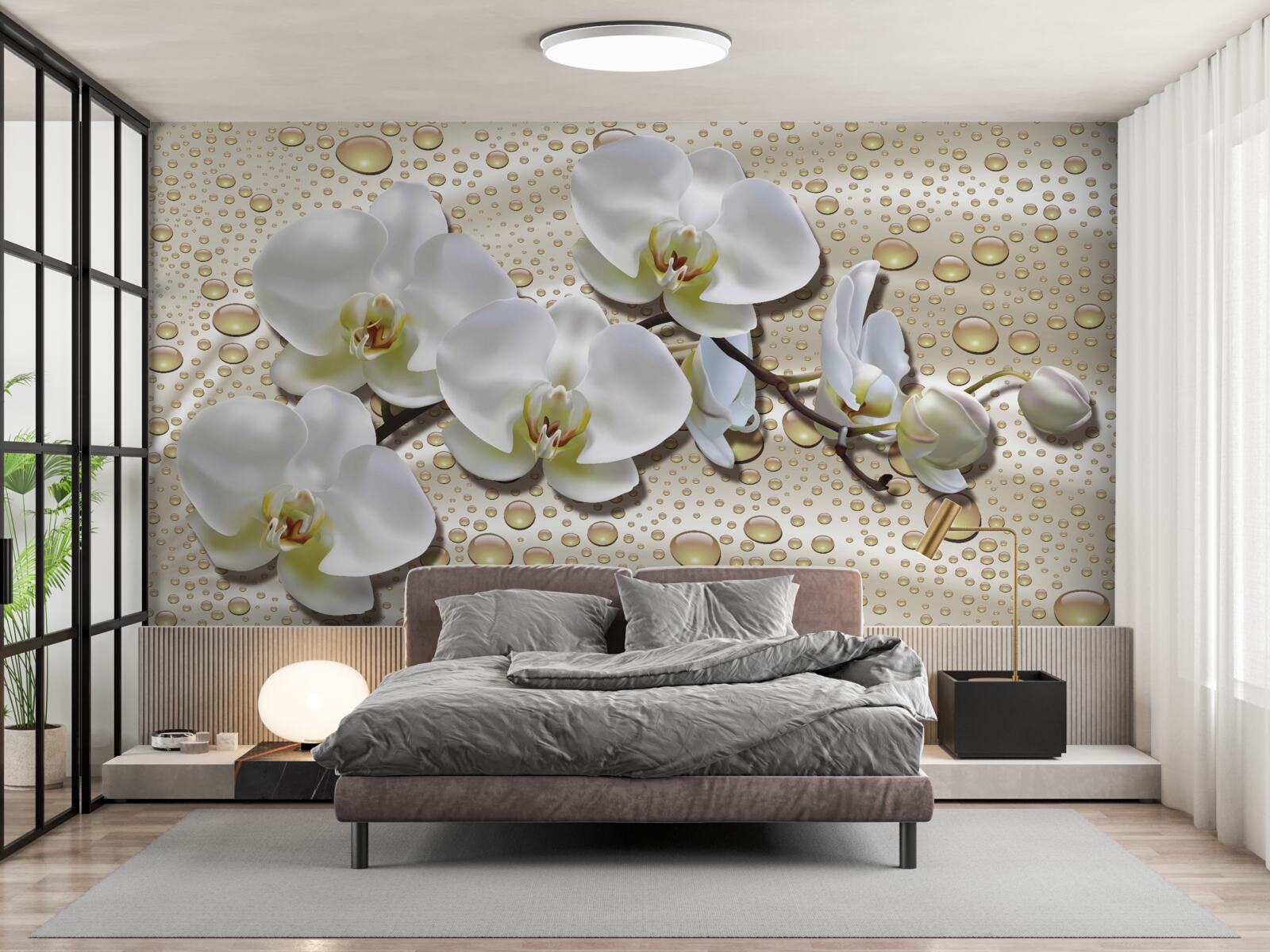 Fototapeta vetvička bielej orchidey navlhčená dažďom na hodvábe