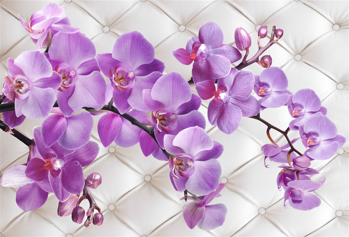 Fototapeta textúra obsahuje konáre orgovánovej orchidey