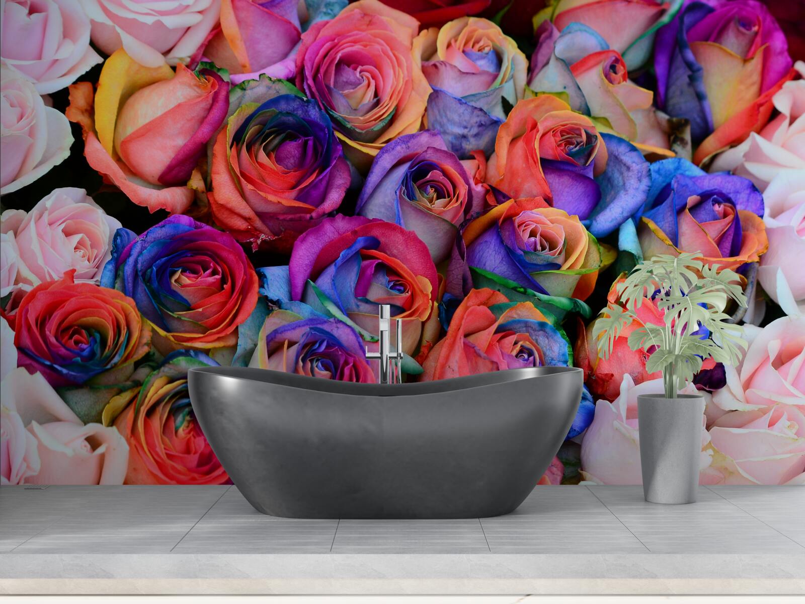 Fototapeta v pozadí ružová, rôzne farby v ružiach