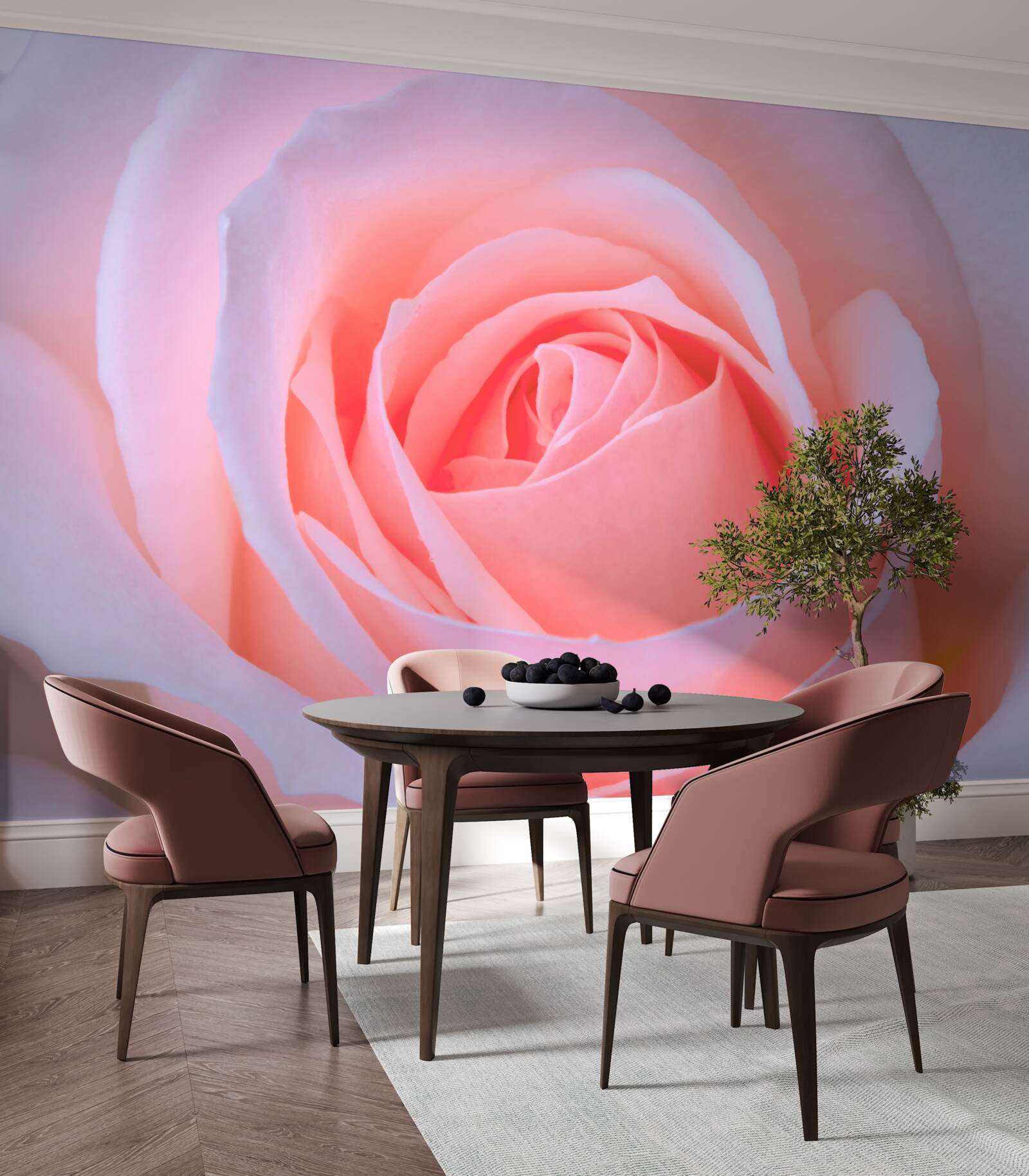 Fototapeta jemná ruža s krásnymi ružovými lístkami