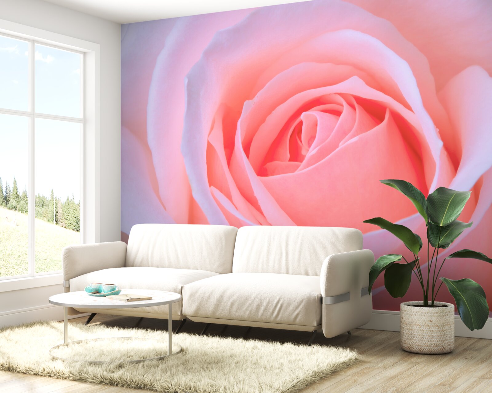 Fototapeta jemná ruža s krásnymi ružovými lístkami