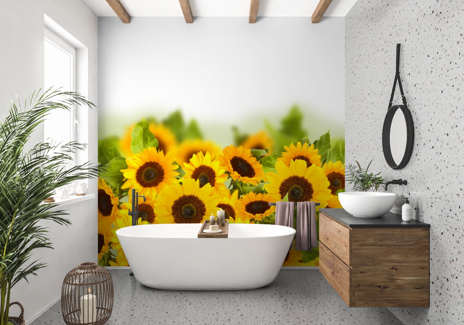 Fototapeta pole zdobené farebnými slnečnicami