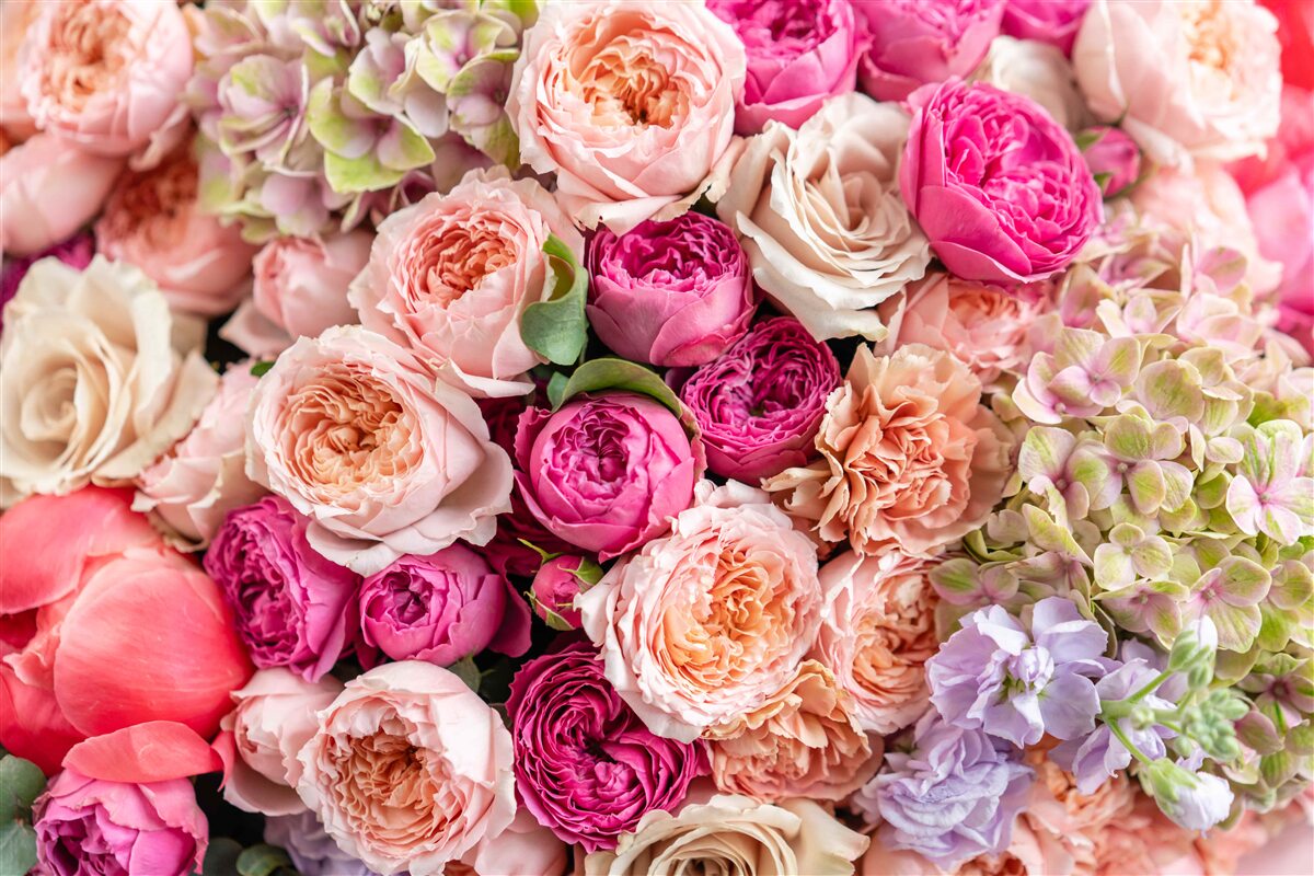 Fototapeta kombinácia rôznych nádherných ruží v kytici