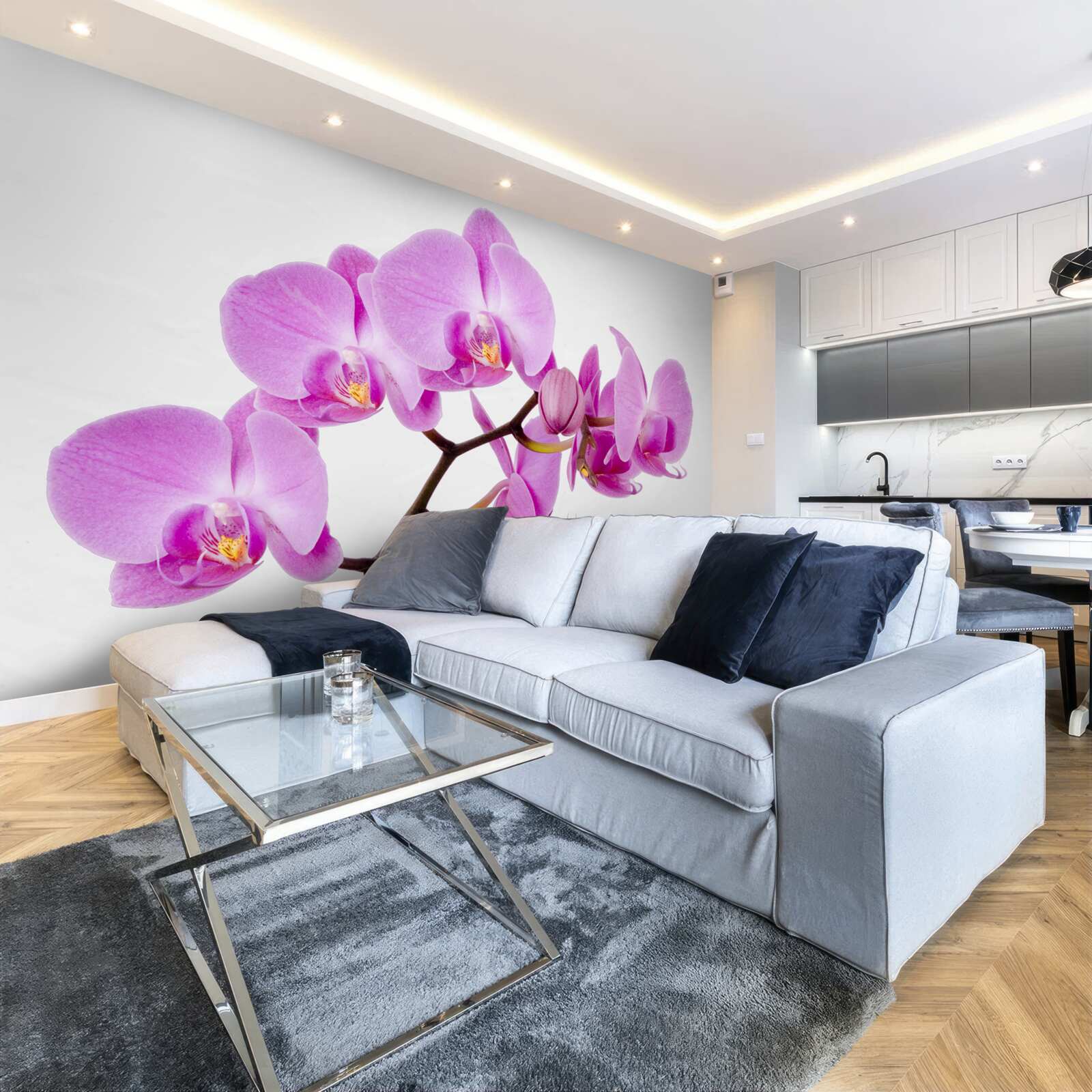 Fototapeta fialová aphrodite orchidea