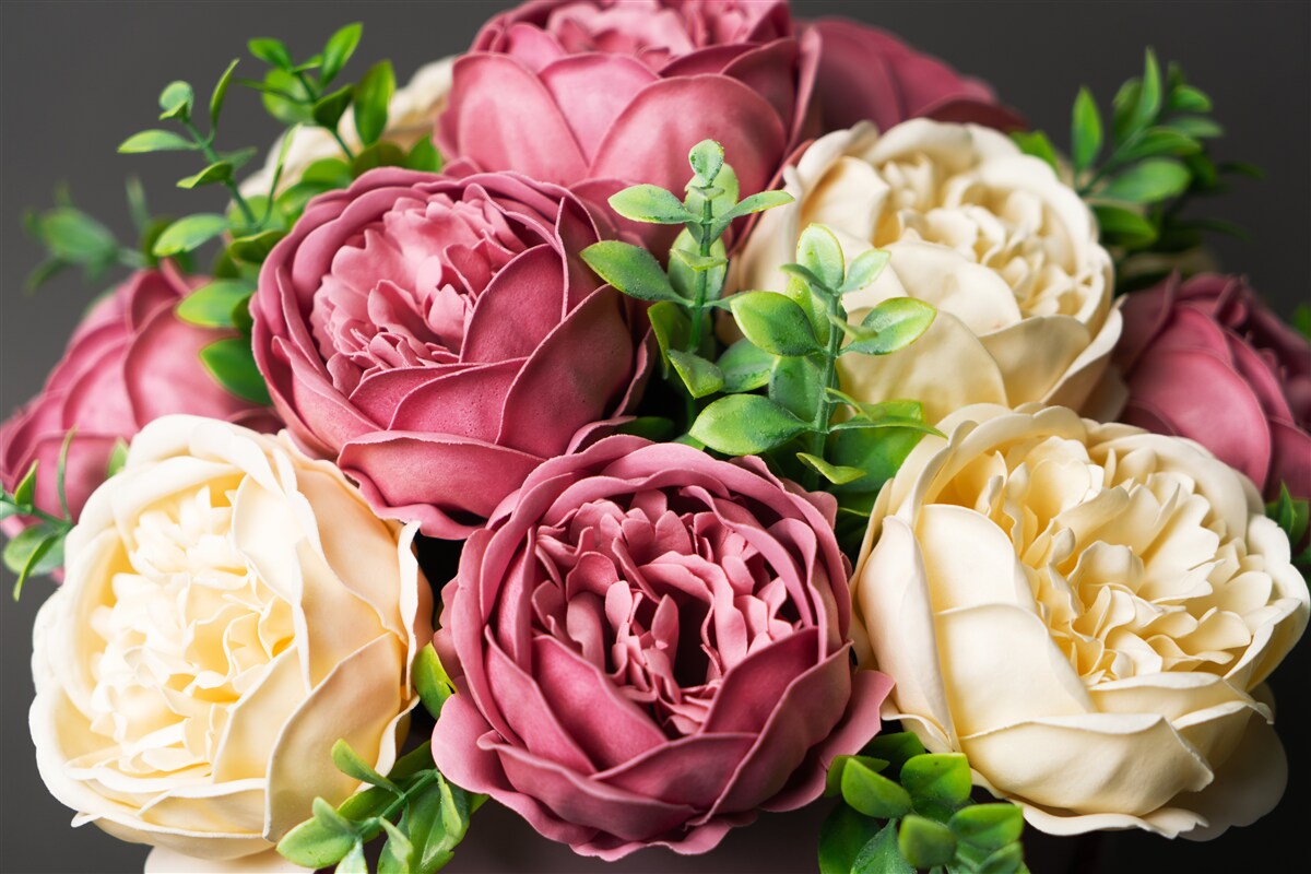 Fototapeta kytica s ružou vo farbe pivónie