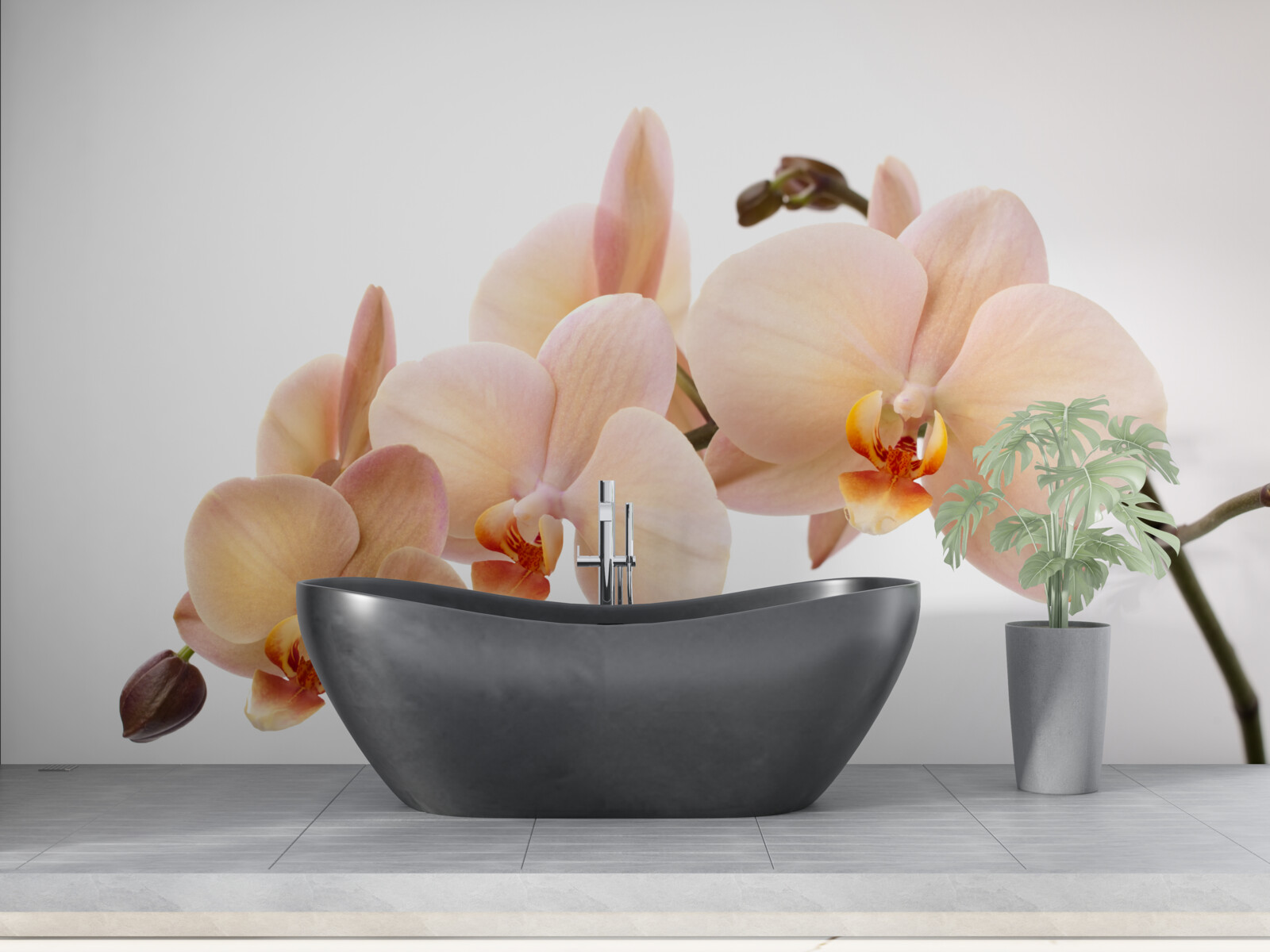 Fototapeta izolovaná vetva broskyňovej orchidey