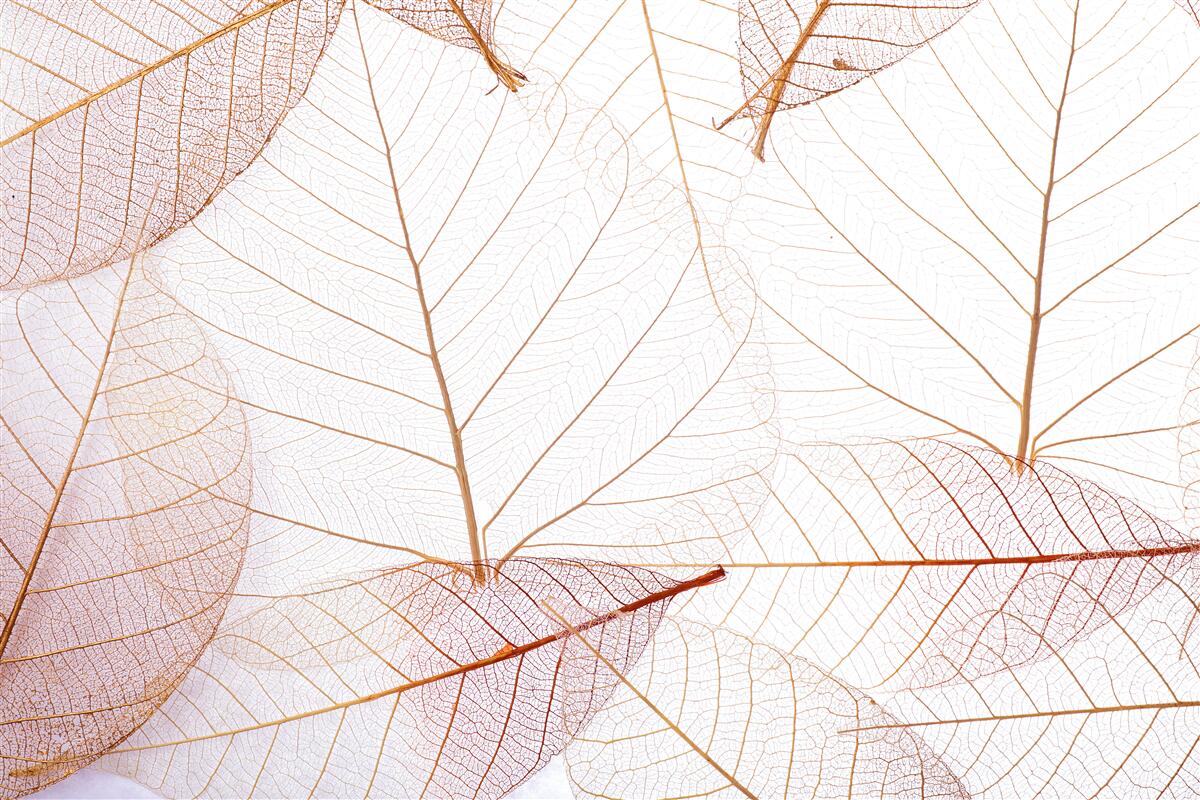 Fototapeta priehľadné obliečky v jemnom ružovom odtieni