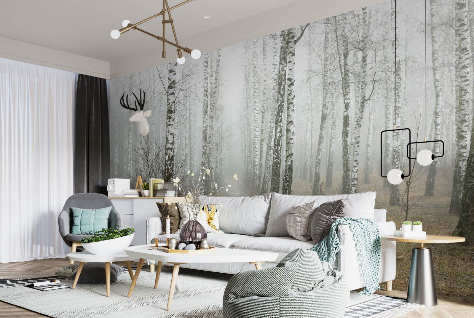 Fototapeta Cesta hmlistým lesom plným briez