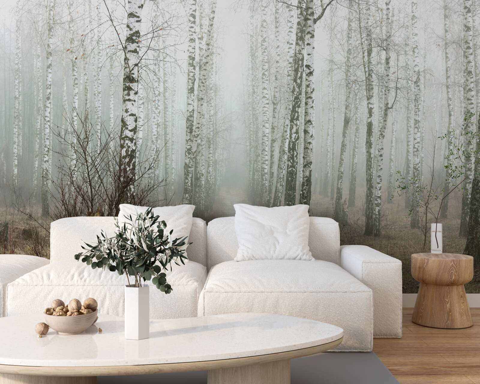 Fototapeta Cesta hmlistým lesom plným briez