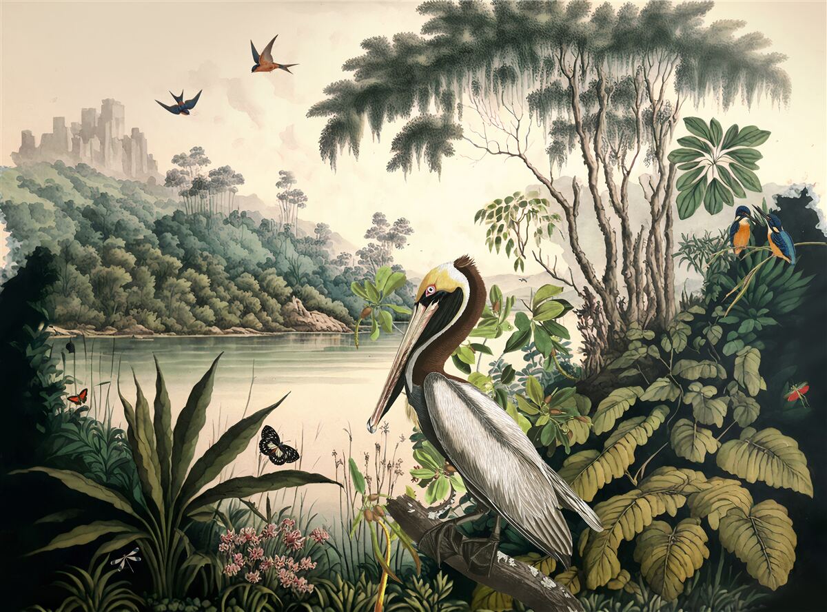 Fototapeta pelikán hľadá potravu vo vodách jazera