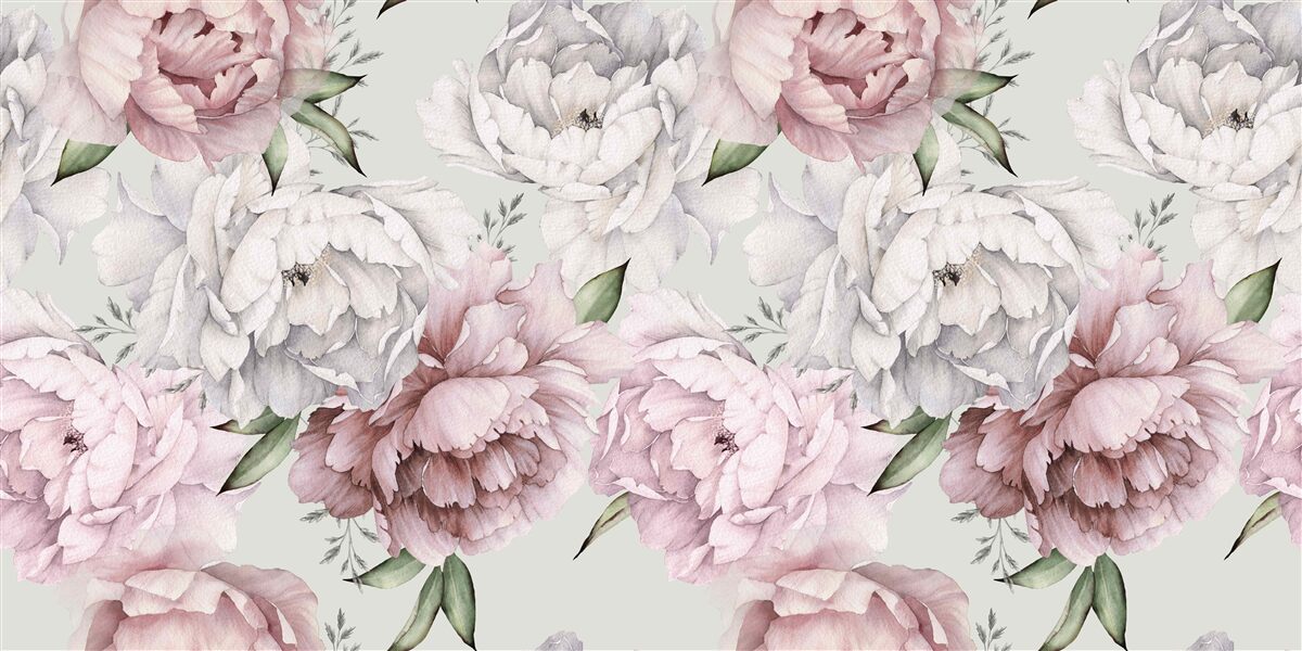 Fototapeta krásne pivonky v odtieňoch bielej a ružovej