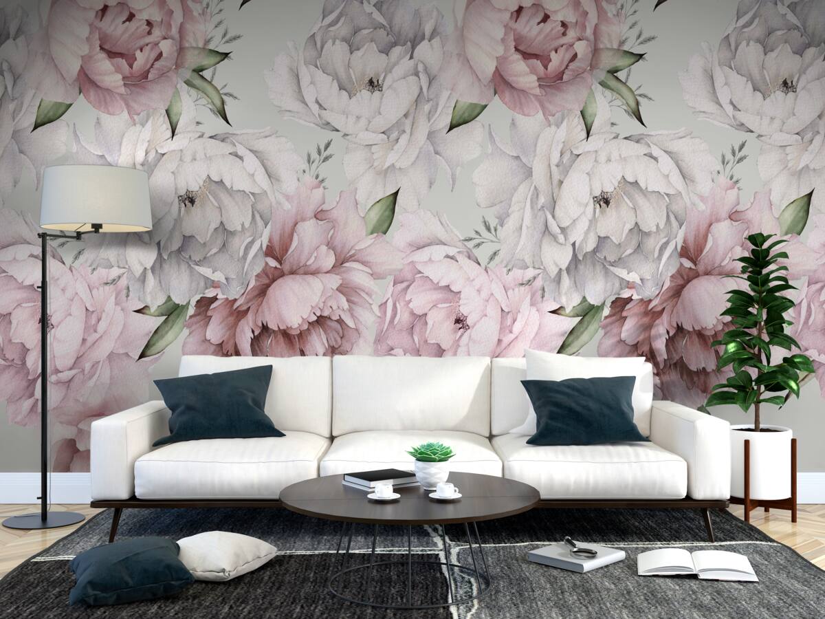 Fototapeta krásne pivonky v odtieňoch bielej a ružovej