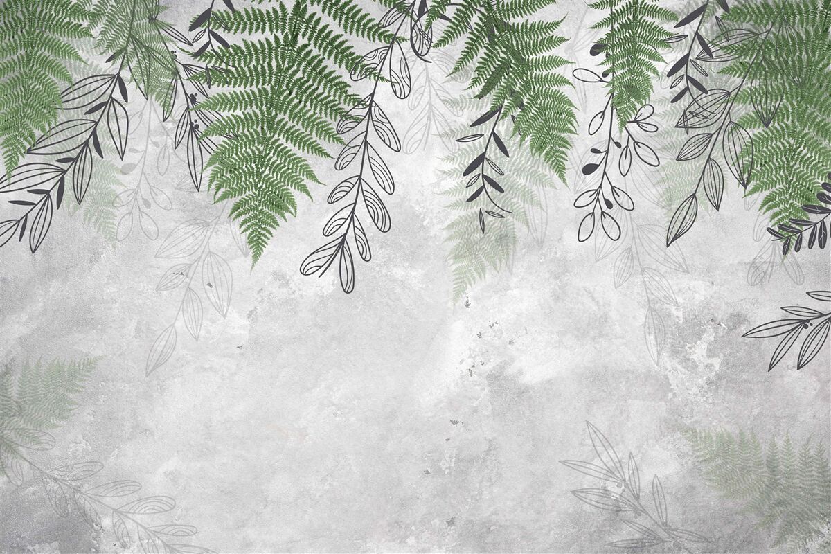 Fototapeta listy paprade v zelenom odtieni na sivom podklade