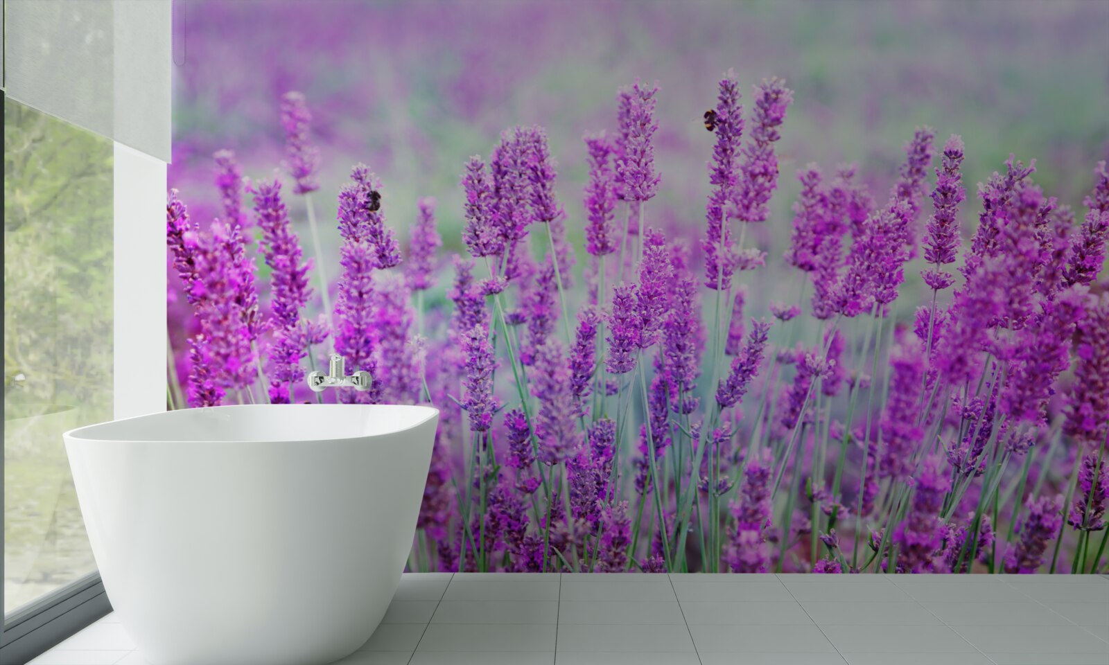 Fototapeta pole levanduľových kvetov