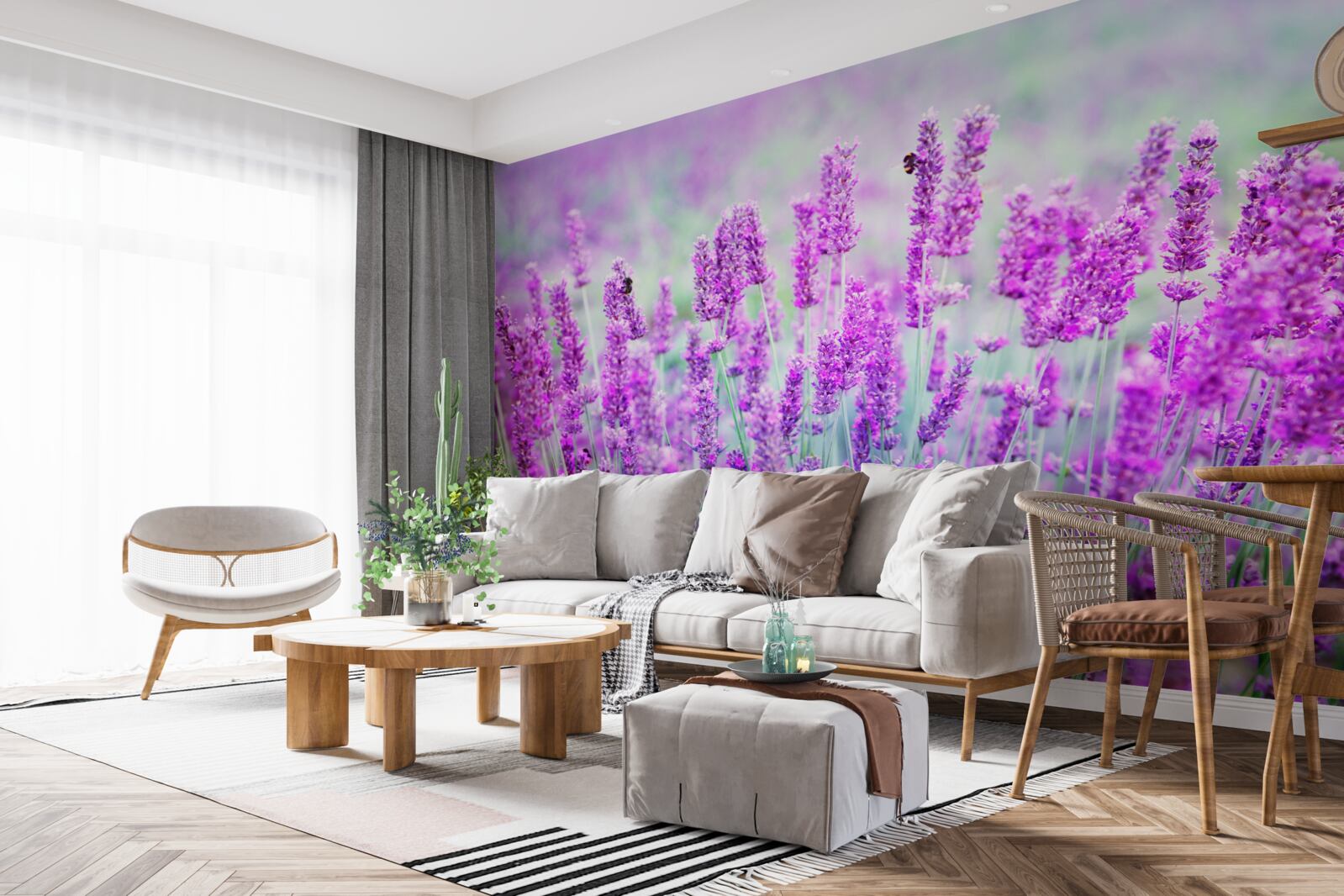 Fototapeta pole levanduľových kvetov