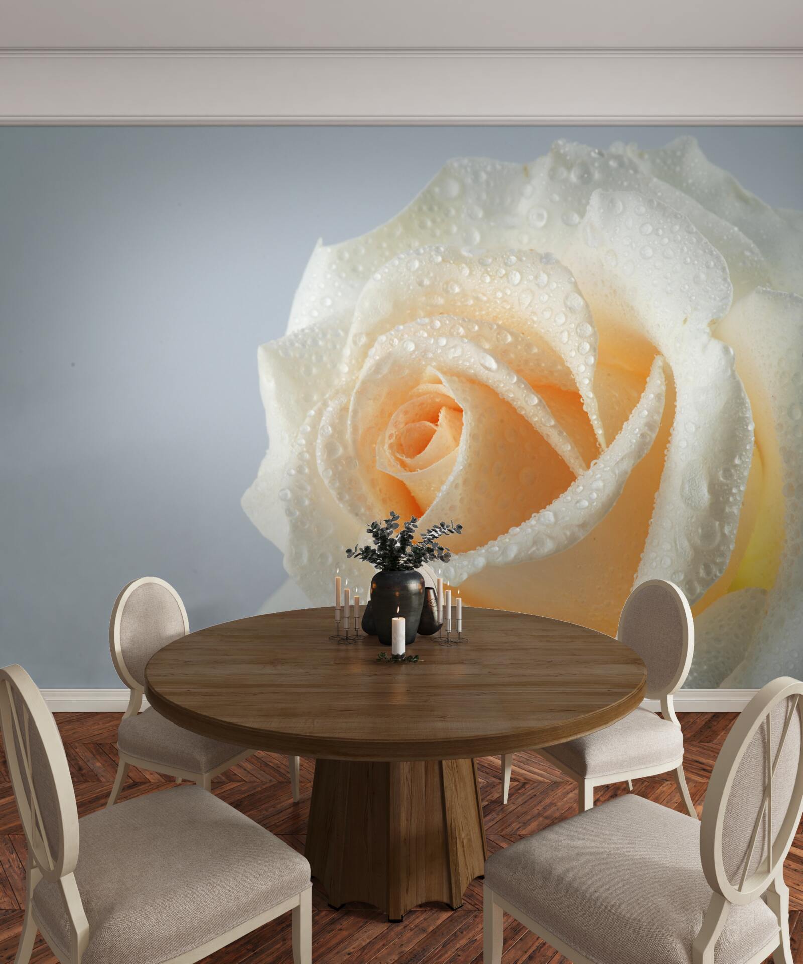 Fototapeta kvapky vody na kvet krémovej ruže