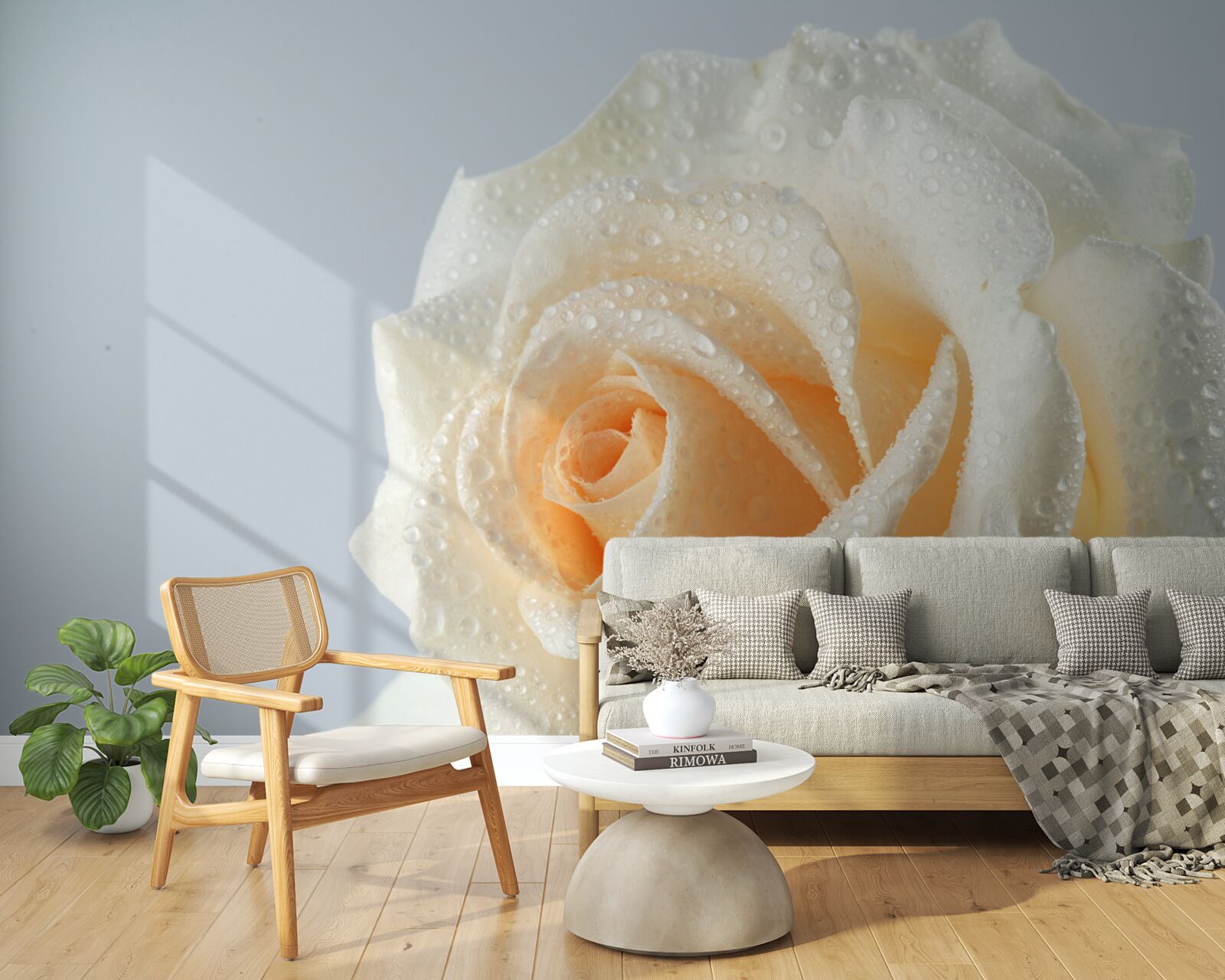 Fototapeta kvapky vody na kvet krémovej ruže