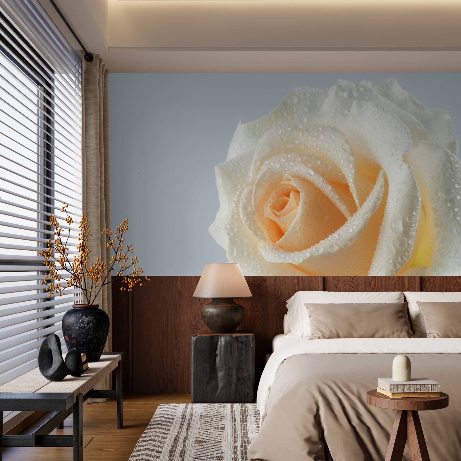 Fototapeta kvapky vody na kvet krémovej ruže