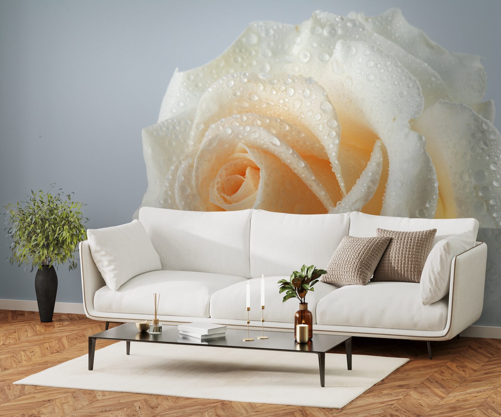 Fototapeta kvapky vody na kvet krémovej ruže