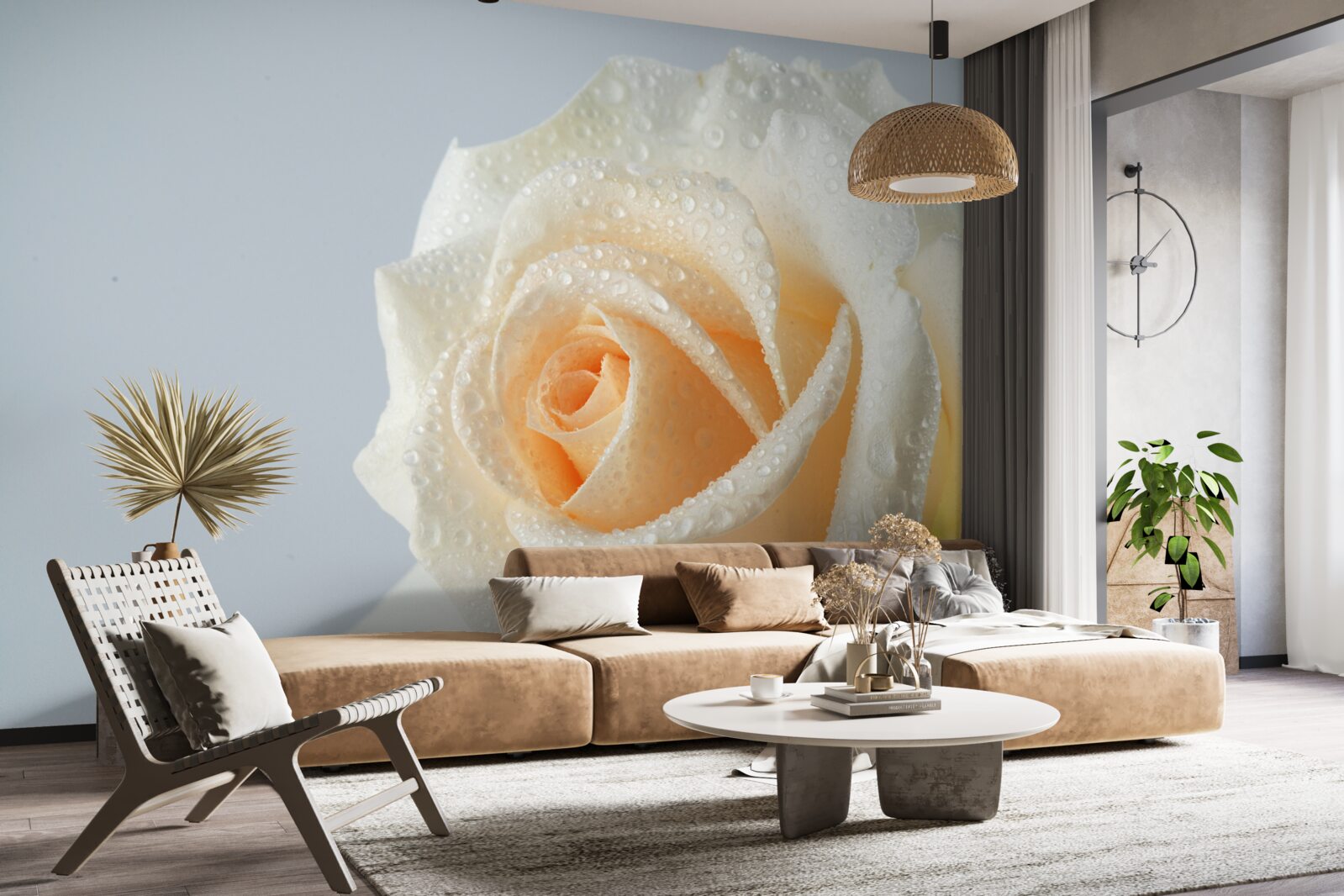 Fototapeta kvapky vody na kvet krémovej ruže