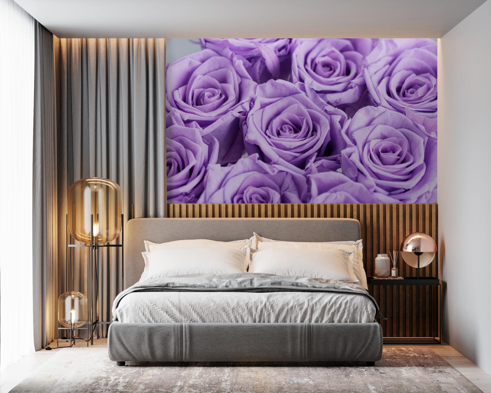 Fototapeta zloženie ametystových ruží