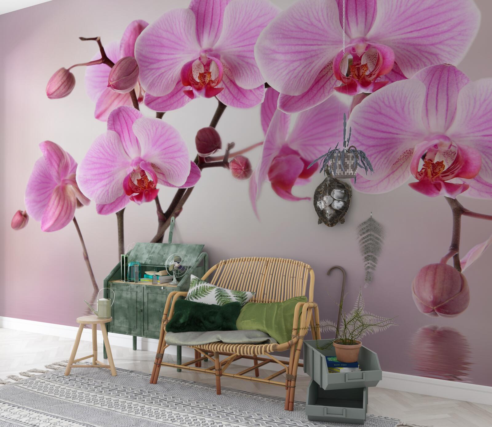 Fototapeta nad vodou visia konáre orgovánovej orchidey