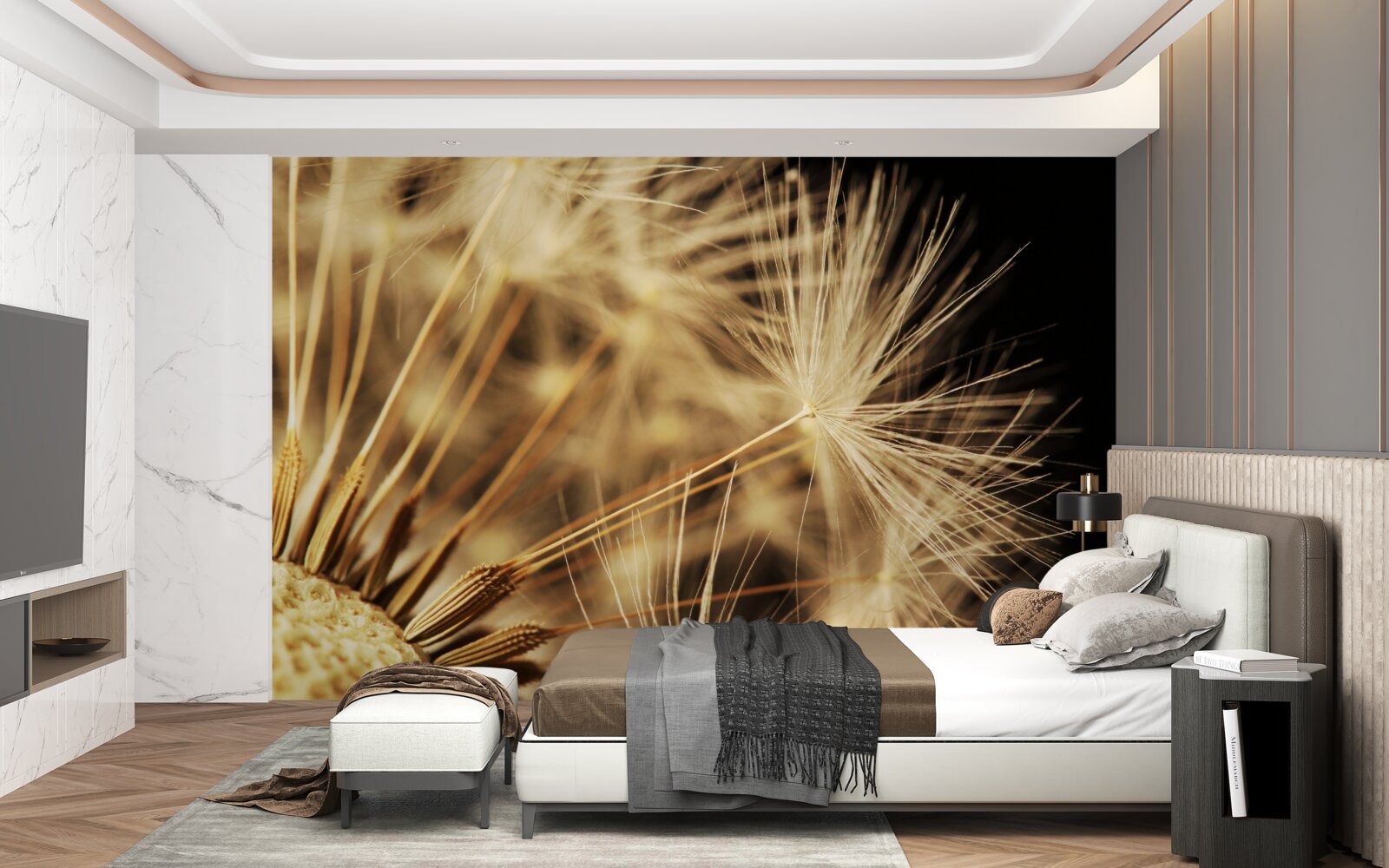 Fototapeta kvety púpavy sú biele na čiernom podklade