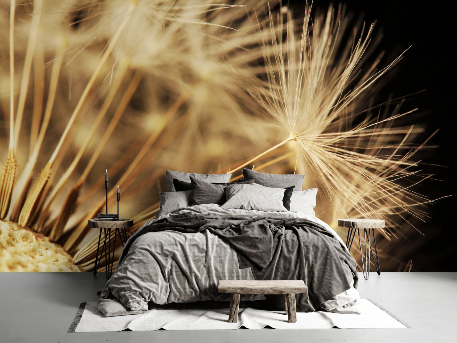 Fototapeta kvety púpavy sú biele na čiernom podklade