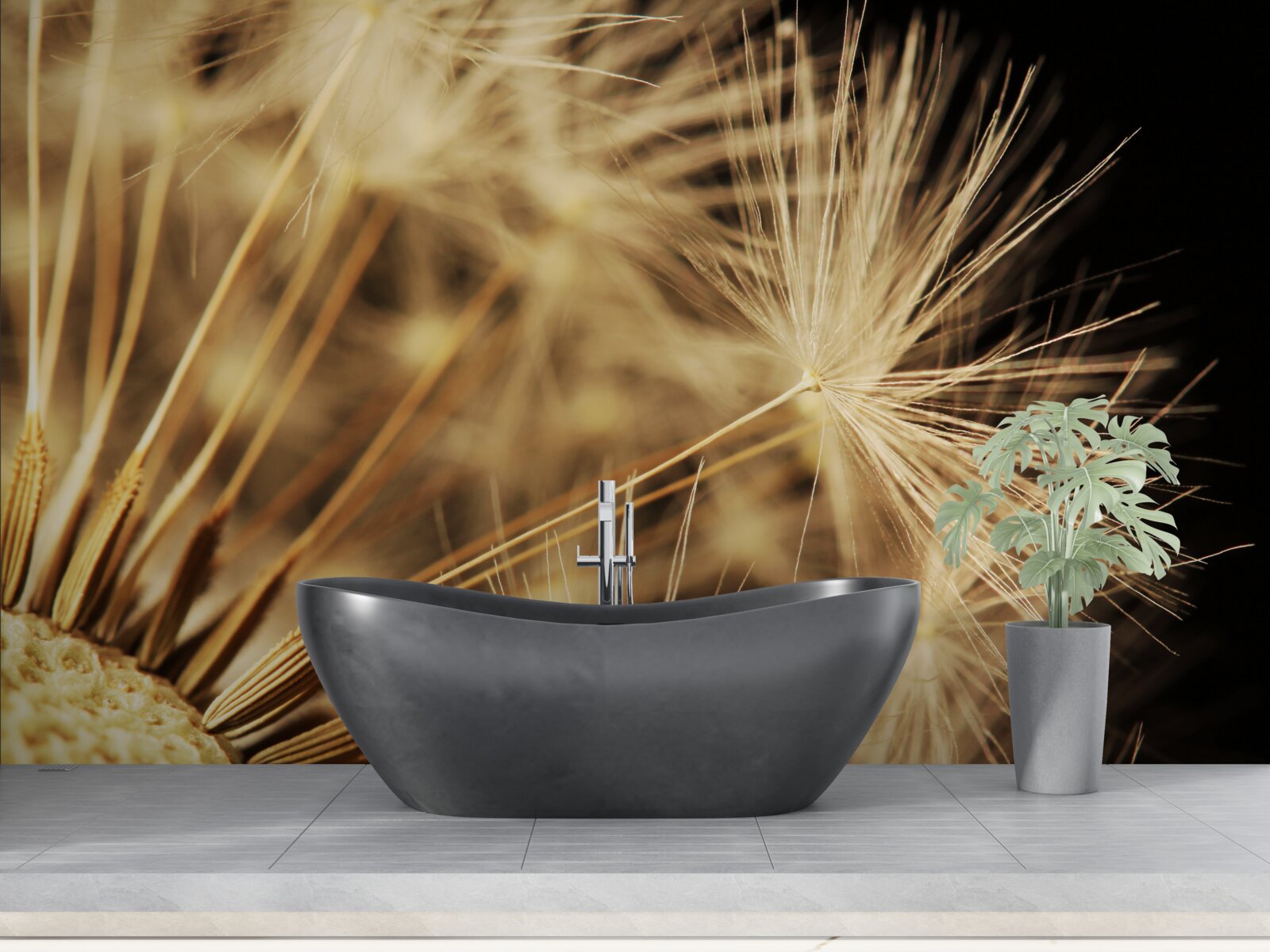 Fototapeta kvety púpavy sú biele na čiernom podklade