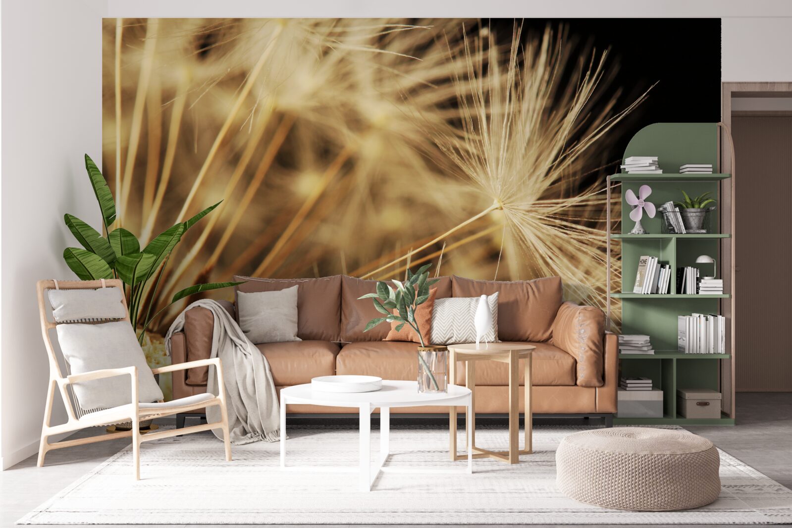 Fototapeta kvety púpavy sú biele na čiernom podklade