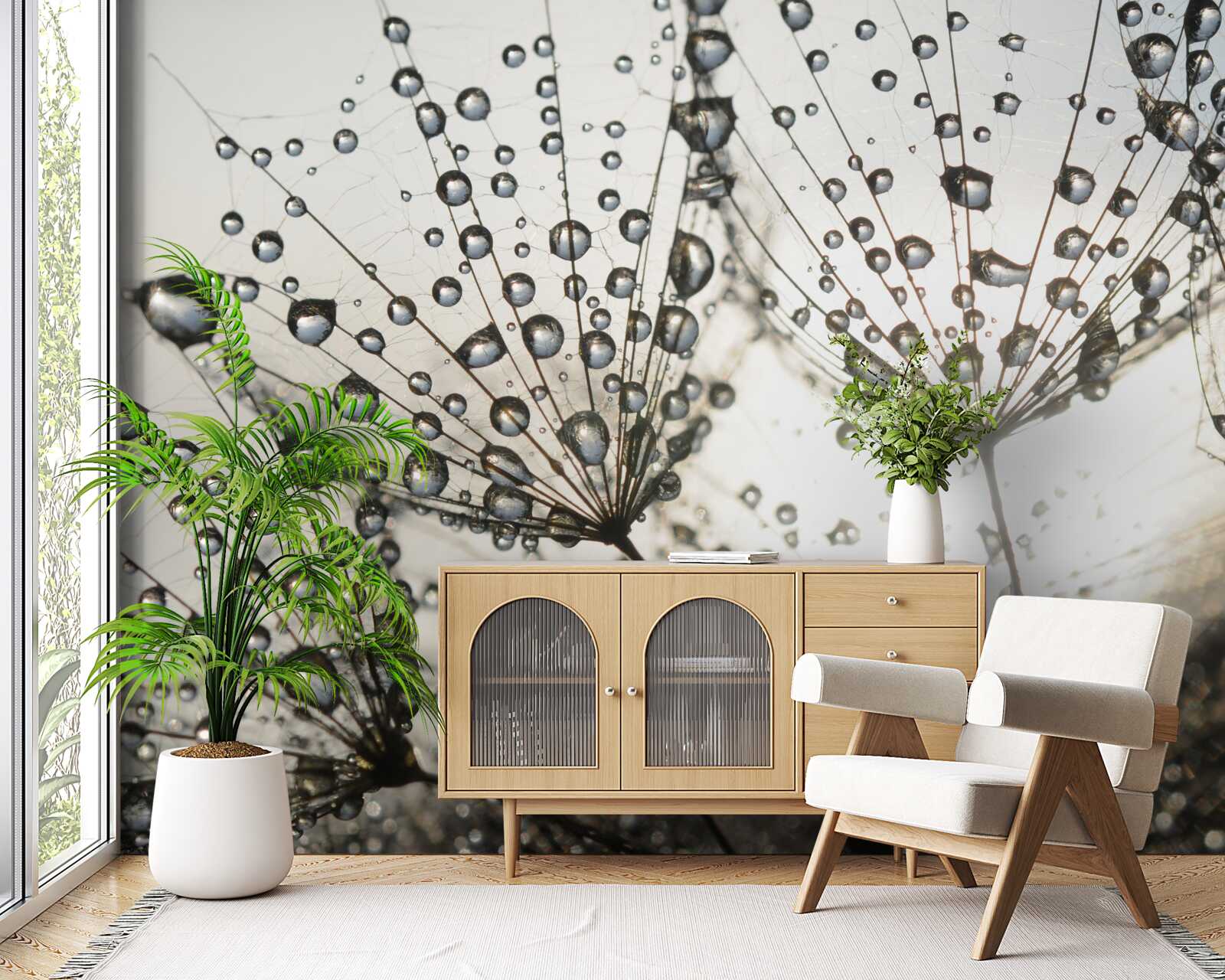 Fototapeta daždivý púpava