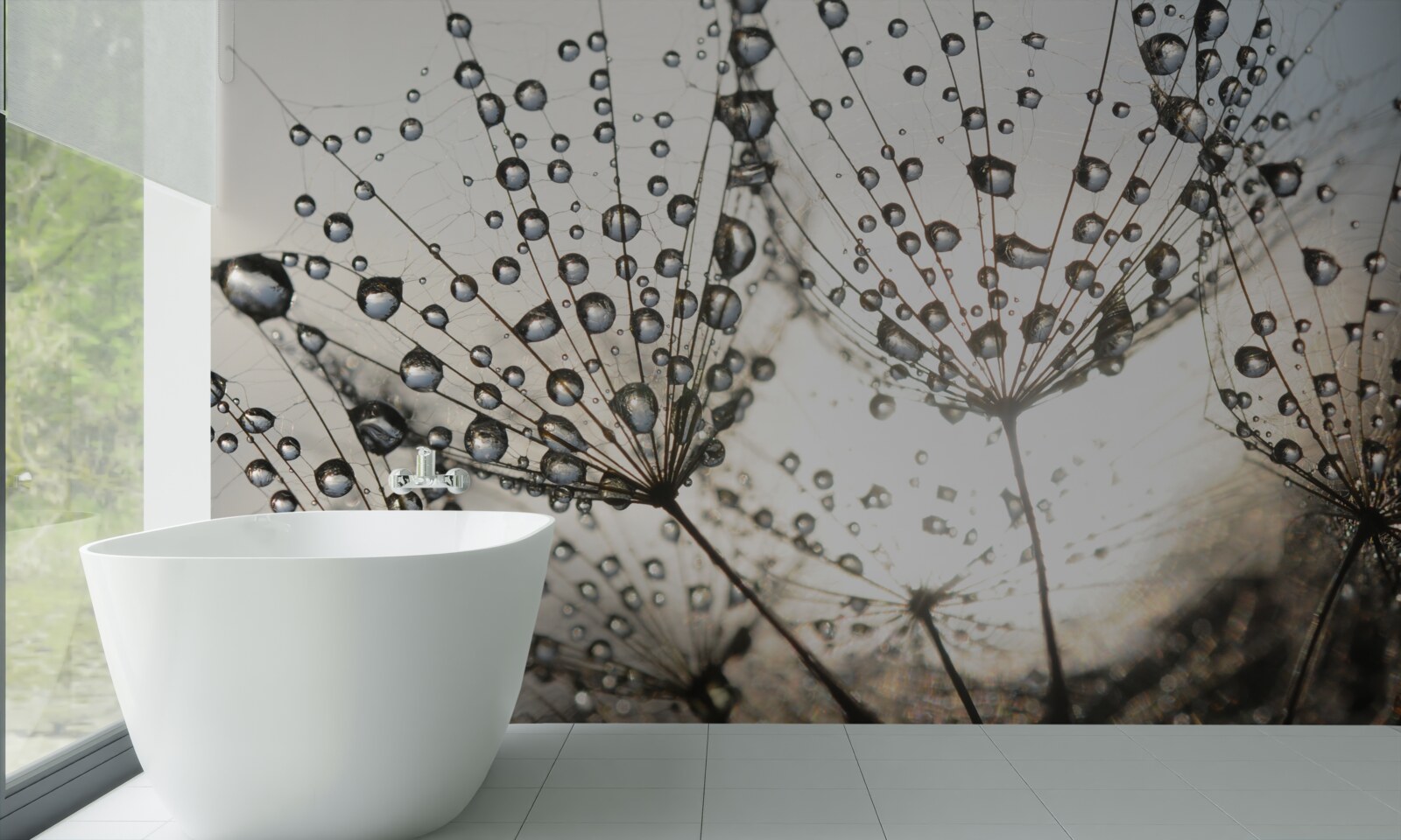 Fototapeta daždivý púpava