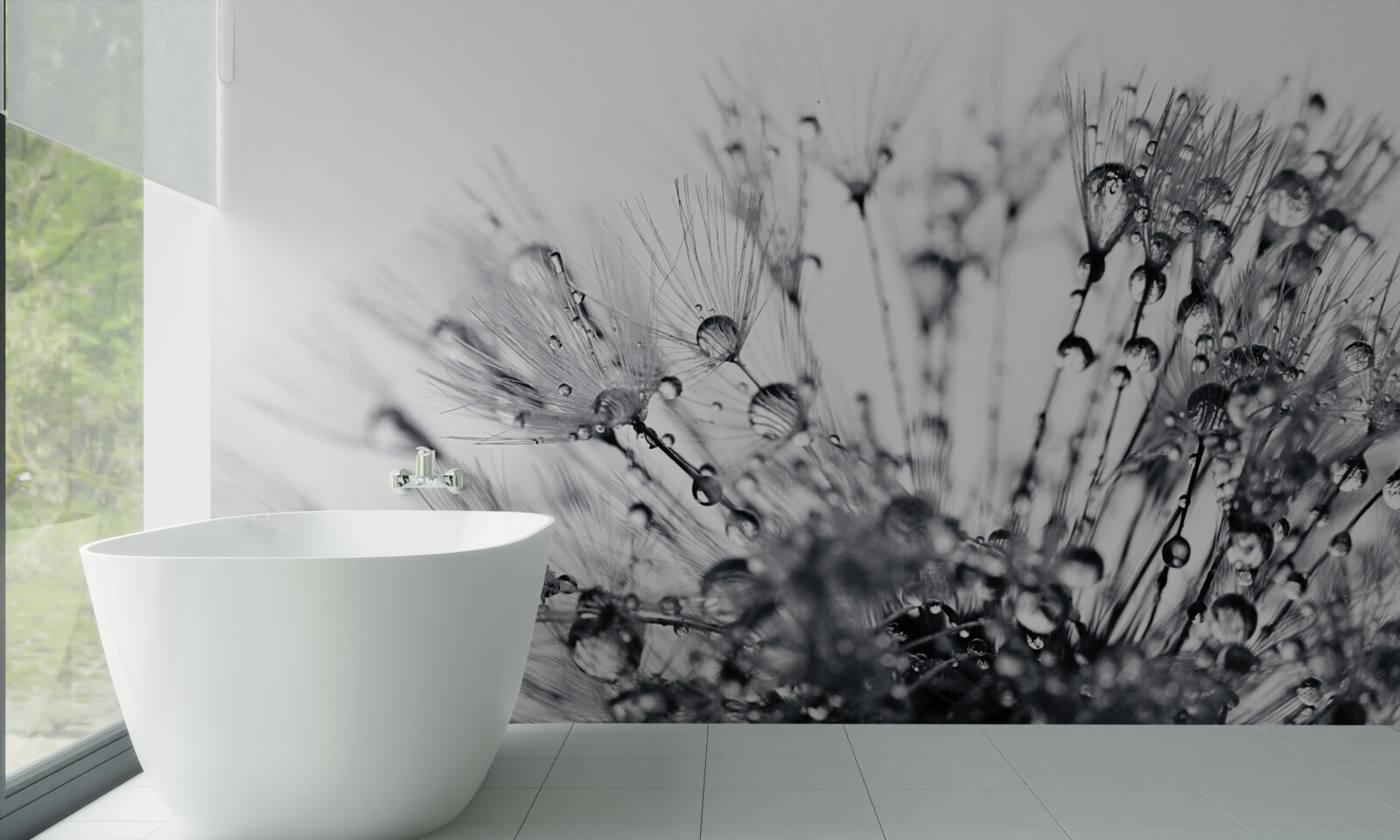 Fototapeta kvapky rosy rannej vlahy na okvetných lístkoch púpavy