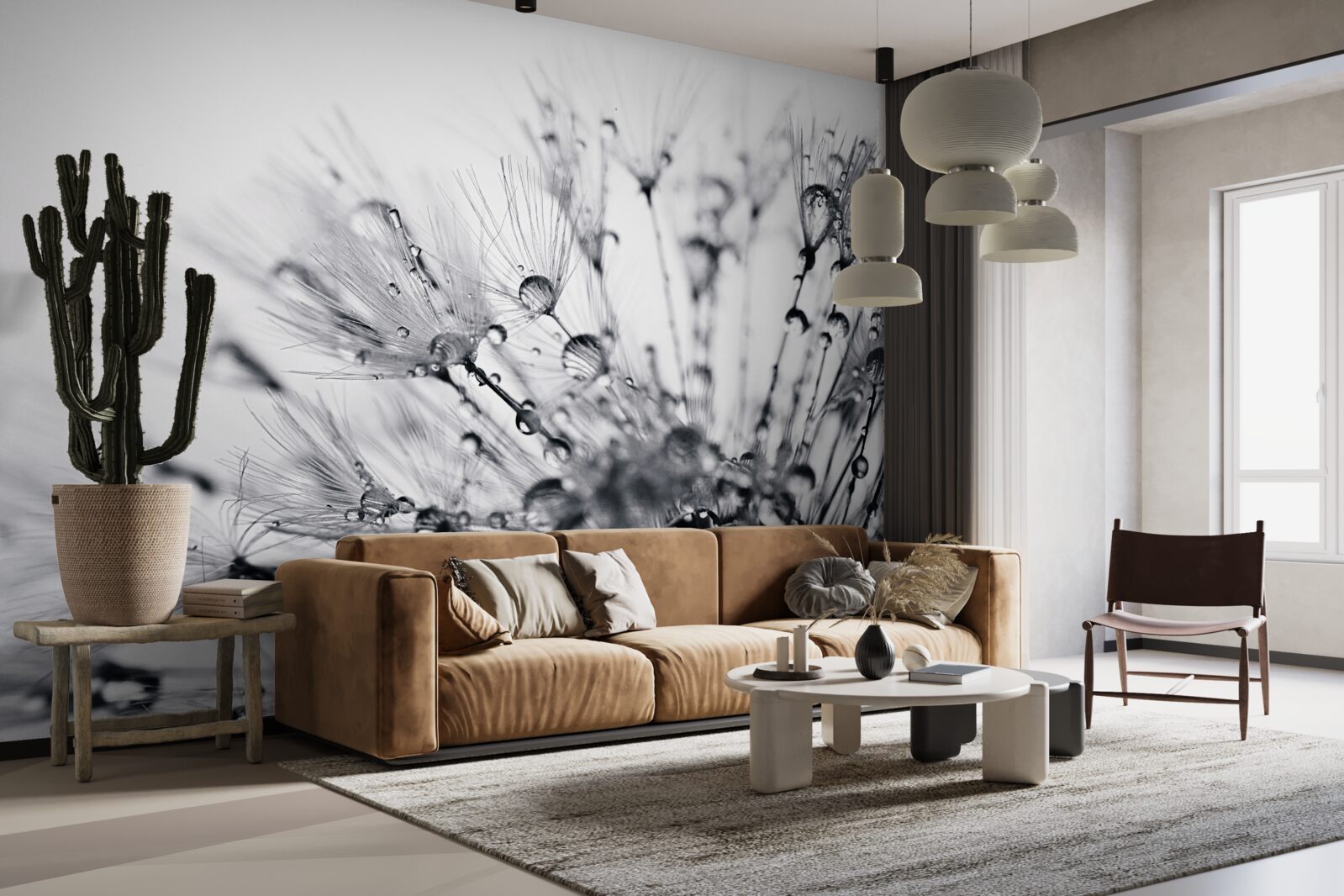 Fototapeta kvapky rosy rannej vlahy na okvetných lístkoch púpavy