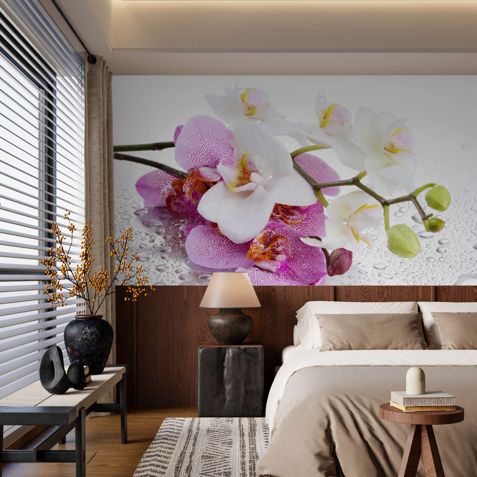 Fototapeta kvapky rosy na vetvách bielej a orgovánovej orchidey