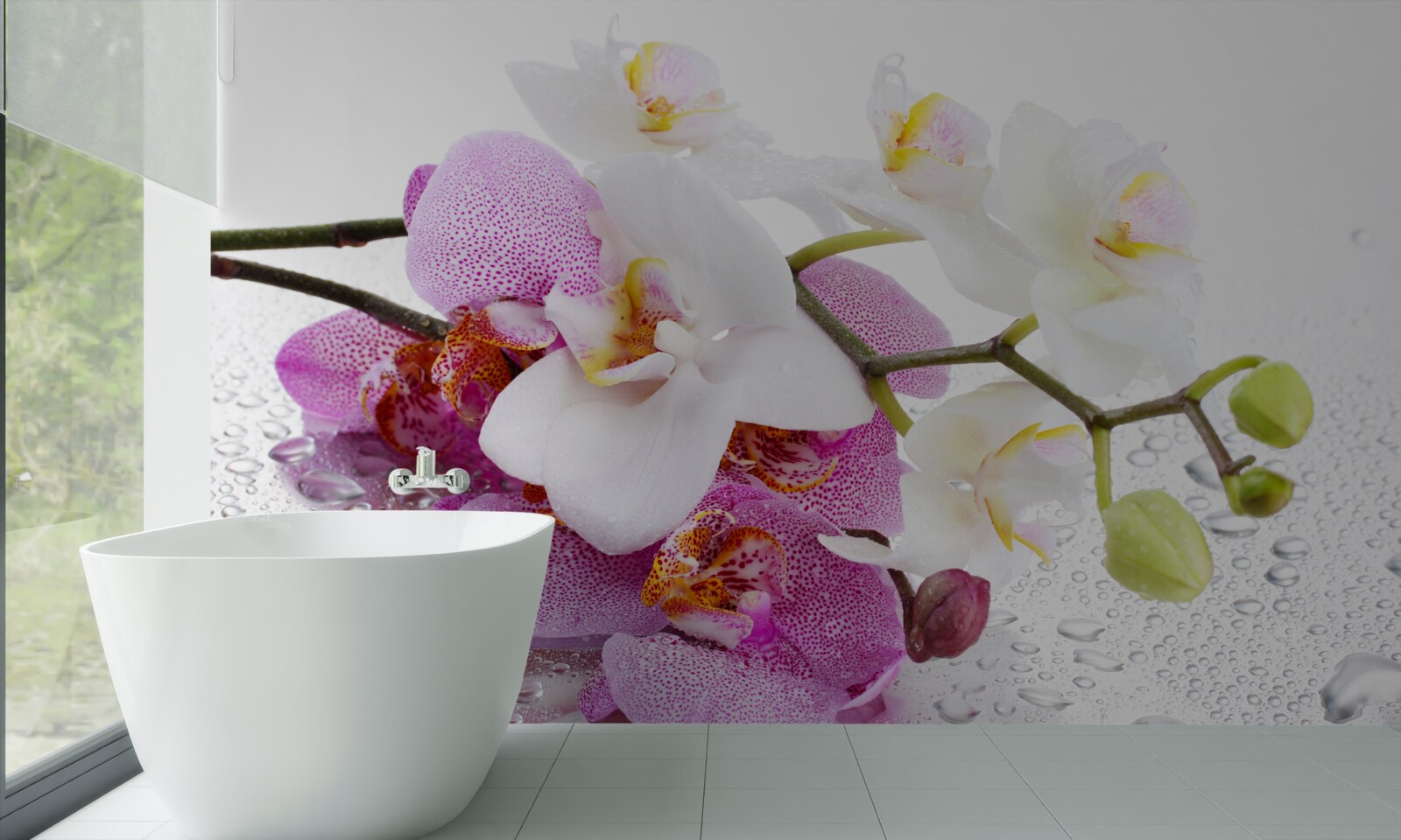 Fototapeta kvapky rosy na vetvách bielej a orgovánovej orchidey