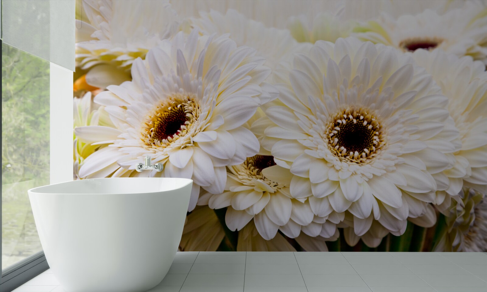 Fototapeta zbierka snehovo bielych gerbier