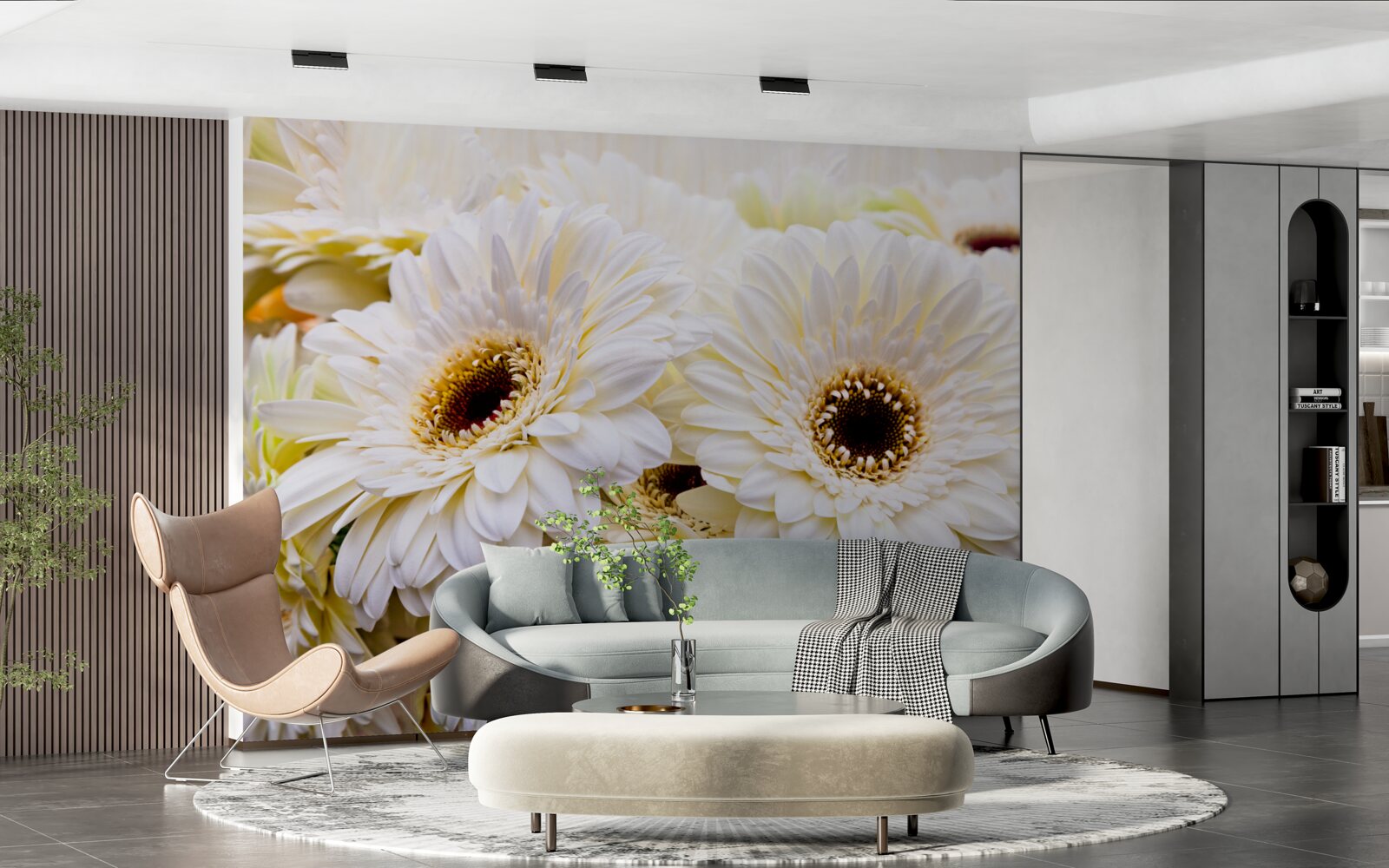 Fototapeta zbierka snehovo bielych gerbier