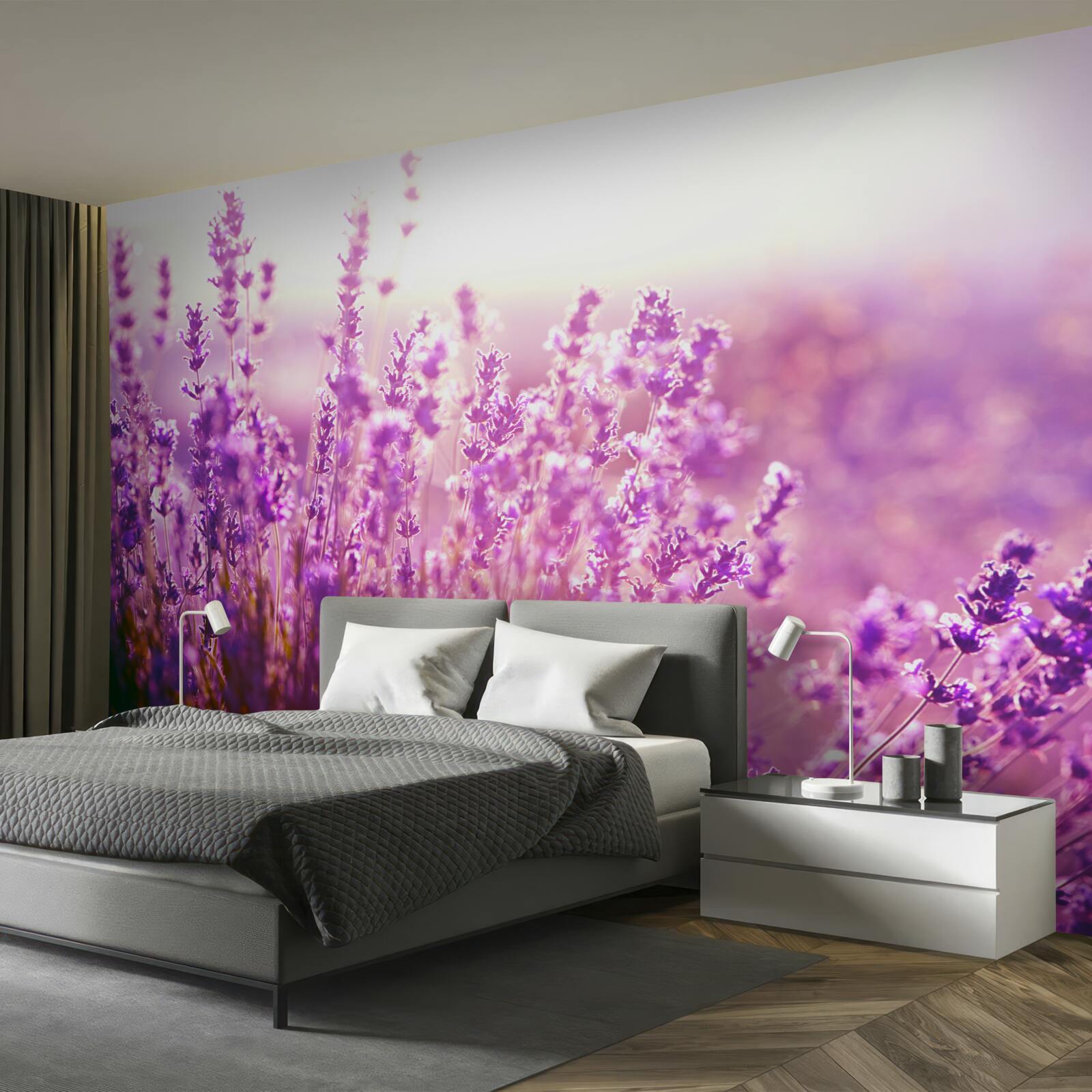 Fototapeta kvety levandule za úsvitu