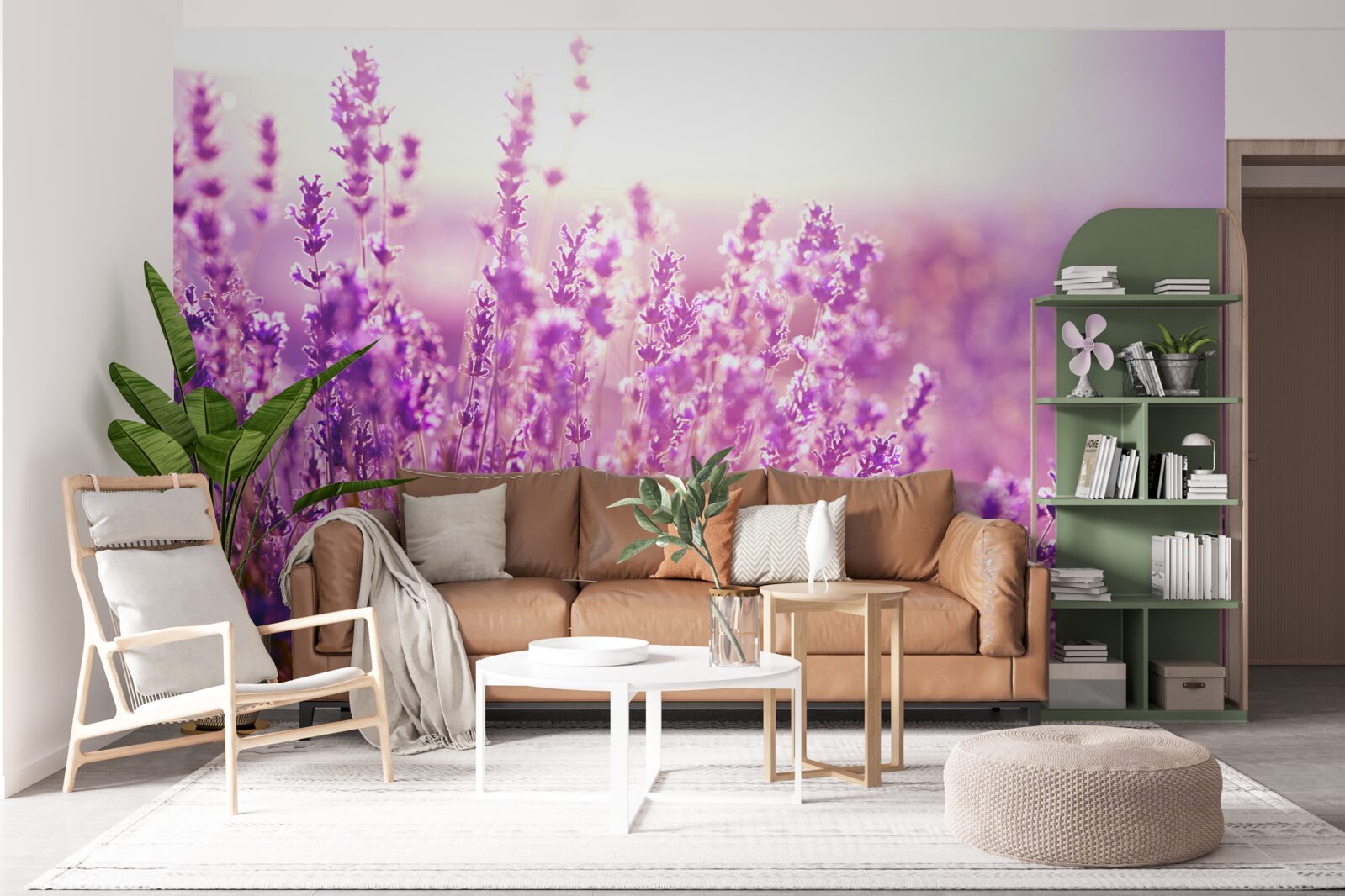 Fototapeta kvety levandule za úsvitu