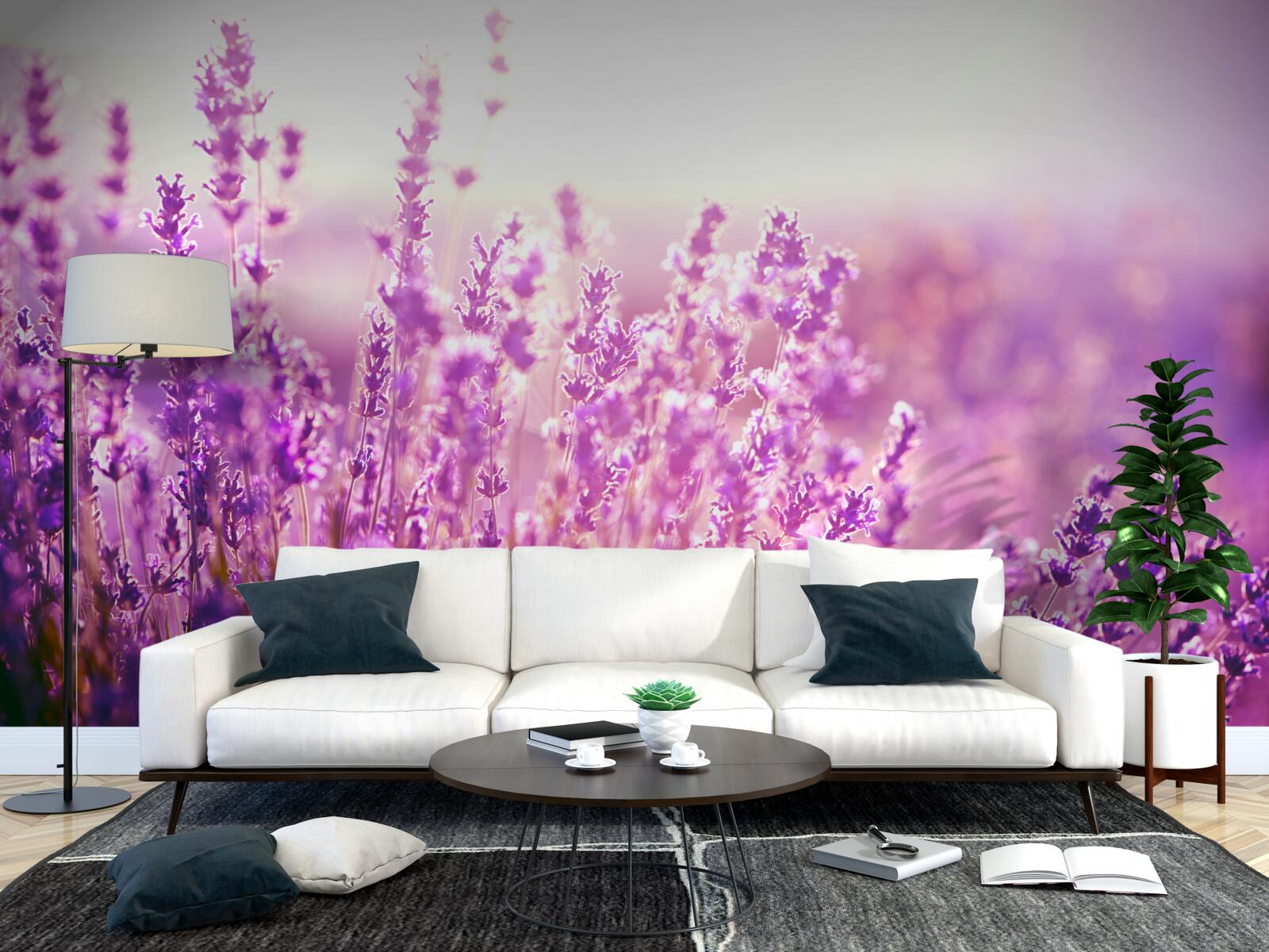 Fototapeta kvety levandule za úsvitu