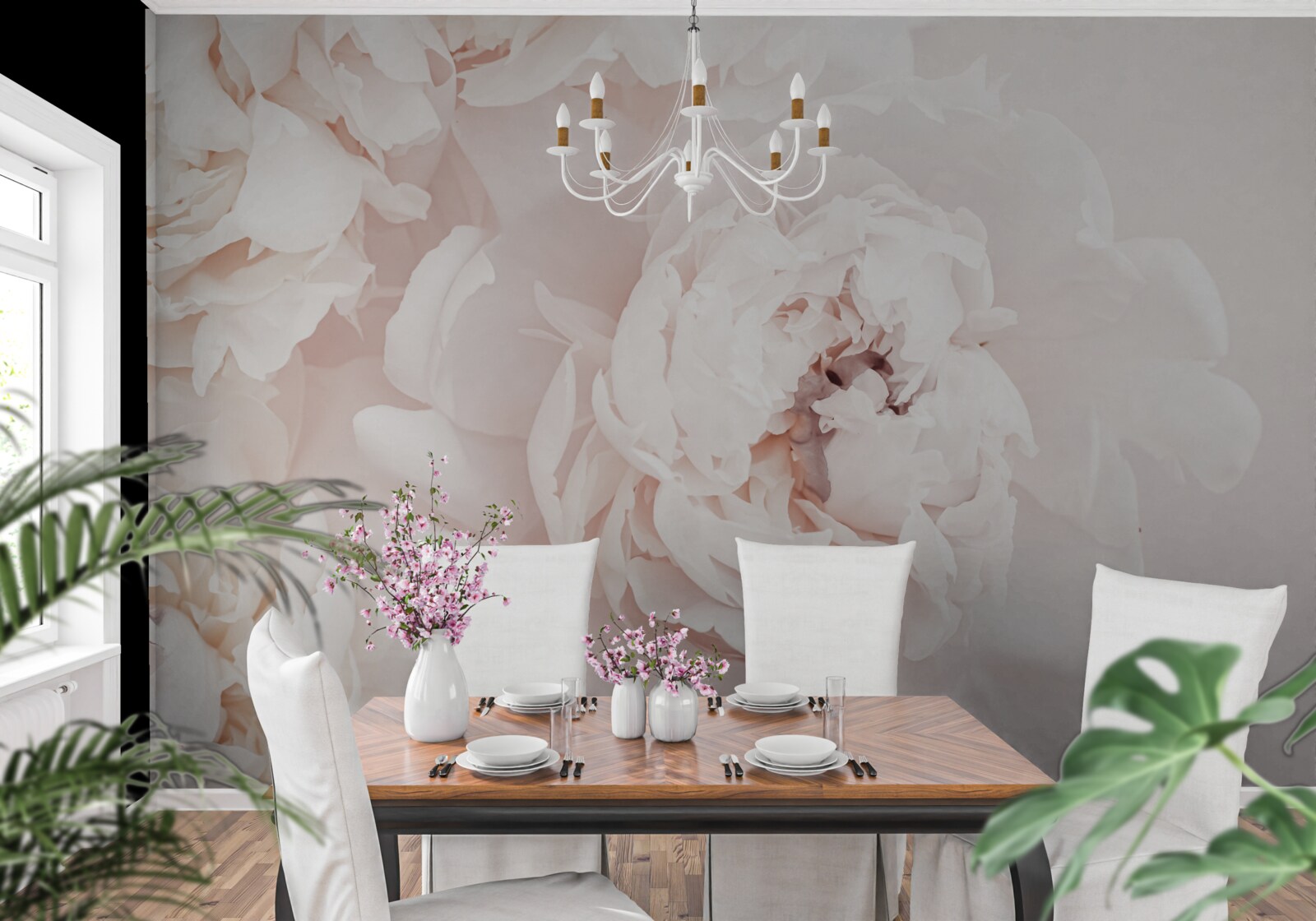 Fototapeta pivonka s jemnou pastelovou krásou