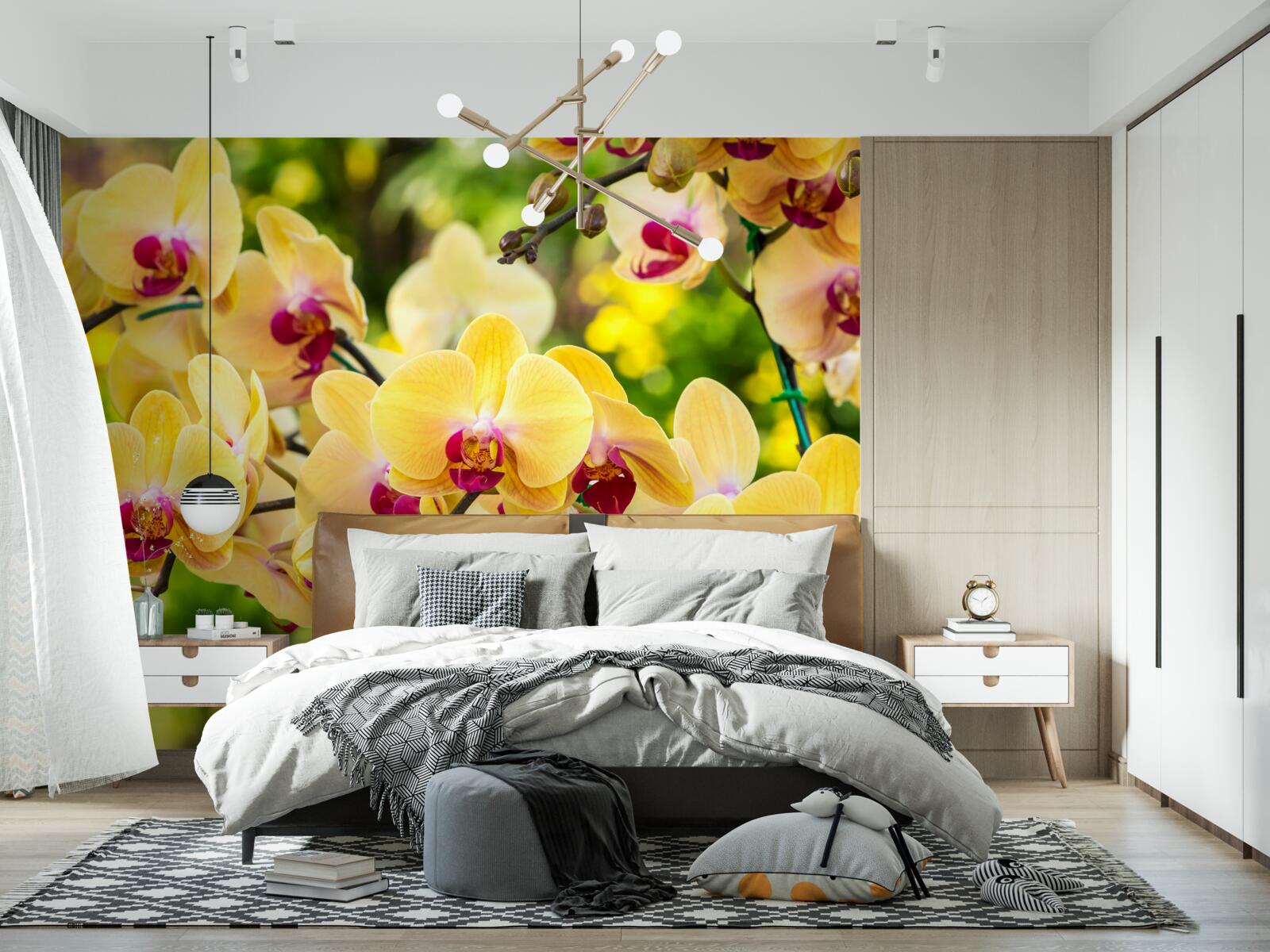 Fototapeta Žlté orchidey v letnej záhrade