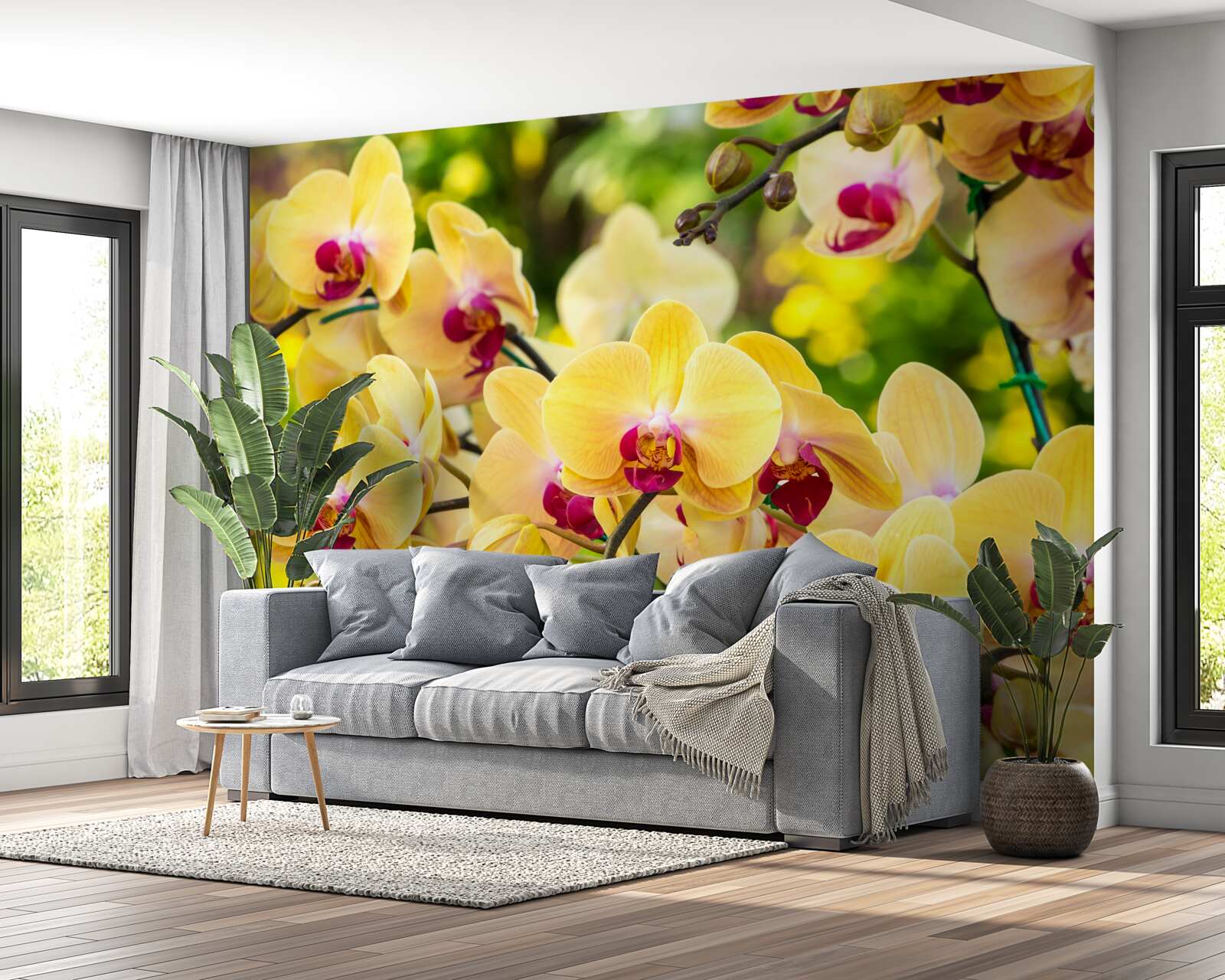 Fototapeta Žlté orchidey v letnej záhrade
