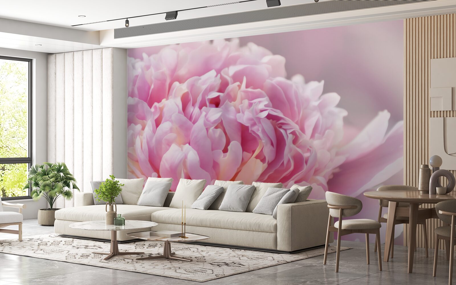 Fototapeta blízky záber mliečnej kvitnúcej pivónie