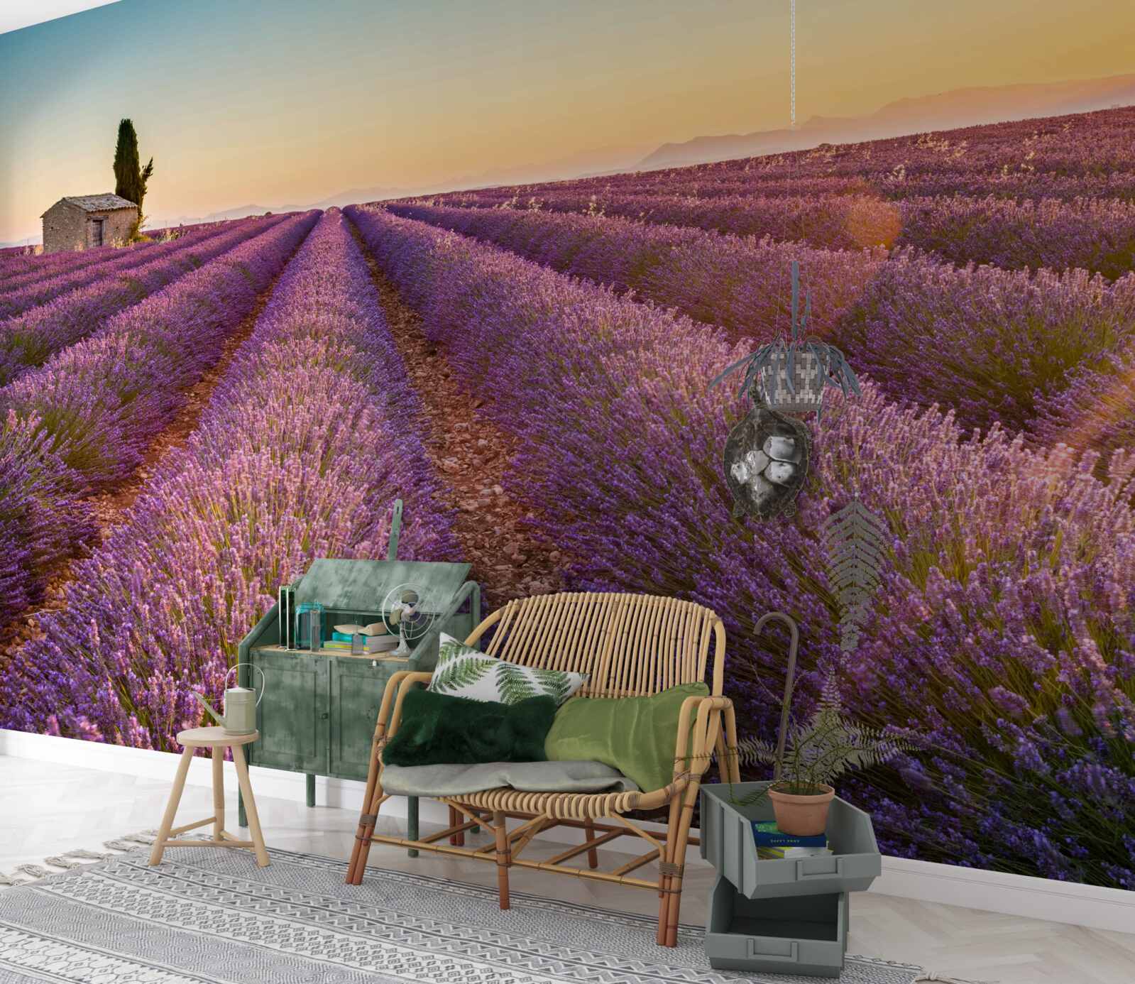 Fototapeta Nad levanduľovým poľom začalo svitať