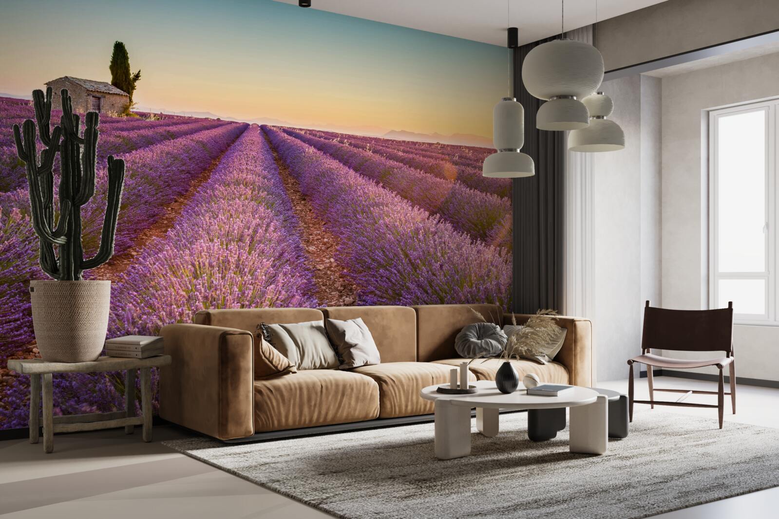 Fototapeta Nad levanduľovým poľom začalo svitať