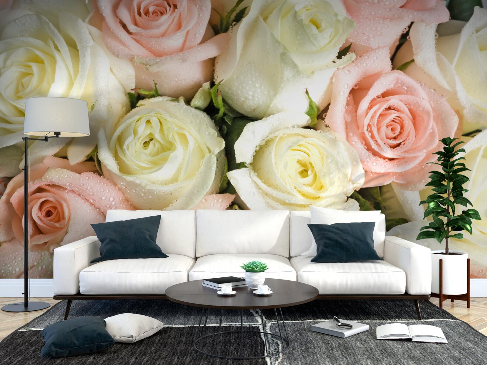 Fototapeta veľkosť kvetov bielej a ružovej ruže