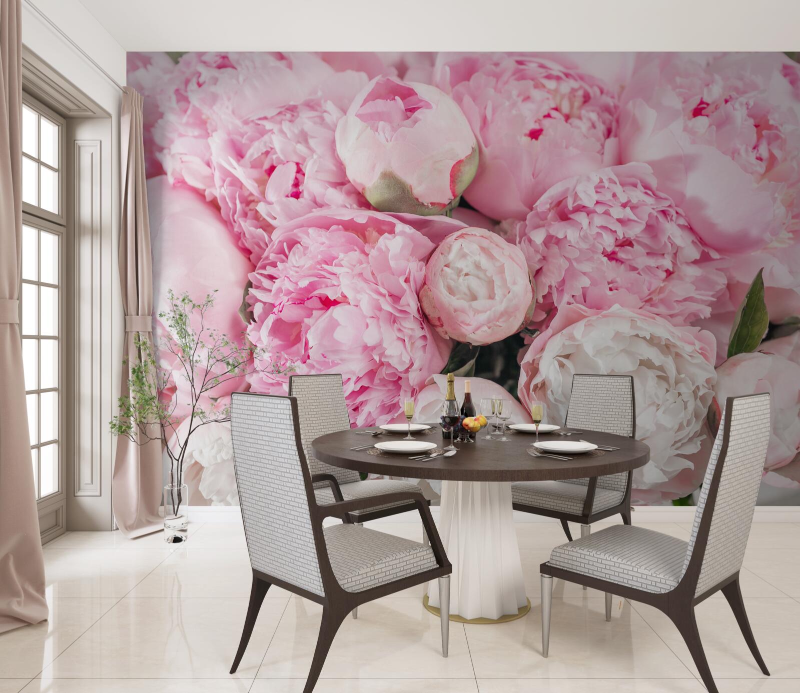 Fototapeta krásne ružové pivonky